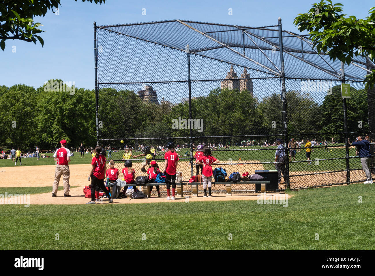 Mädchen Softball spielen im Central Park, New York City, USA Stockfoto