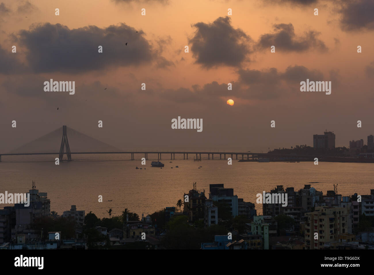Anzeigen von Bandra Worli Sealink Bridge, Mumbai, Indien Stockfoto