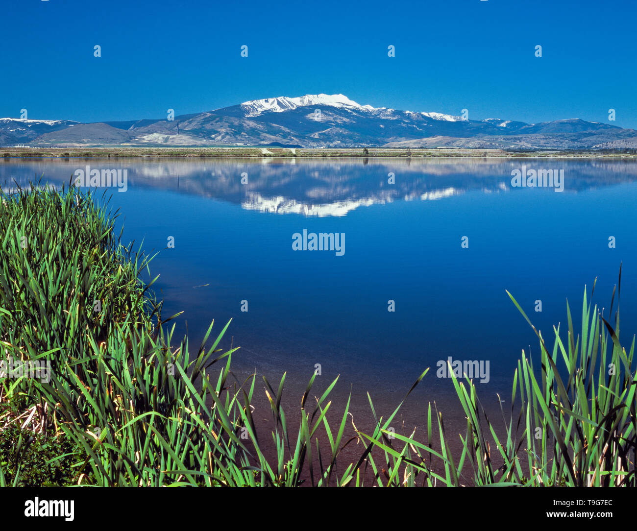 Warm Springs Teich Nr. 3 auf Silver Bow Creek reflektierende Mount haggin in der Nähe der warmen Quellen, Montana Stockfoto