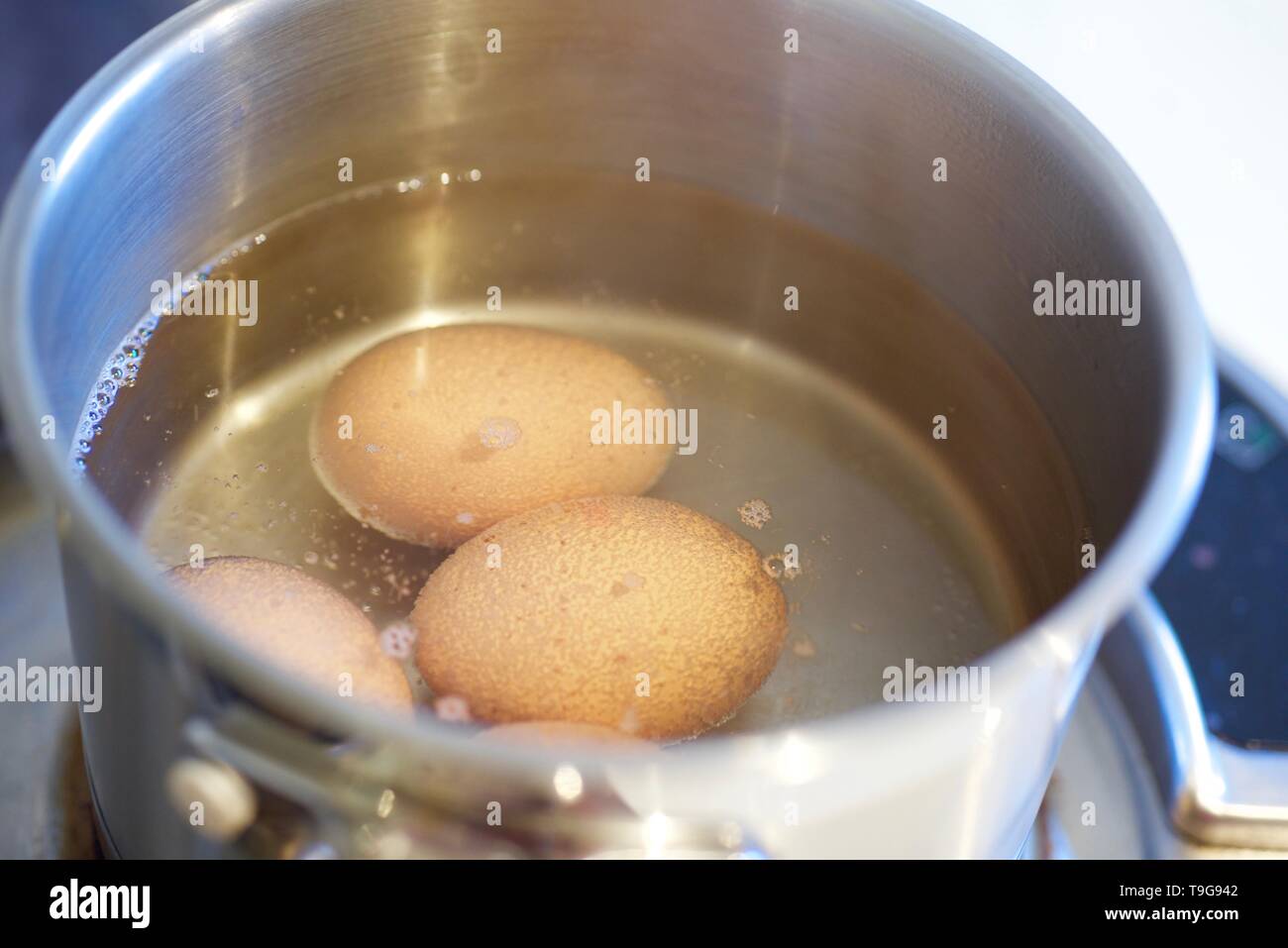 Eier kochen Fotos und Bildmaterial in hoher Auflösung Alamy