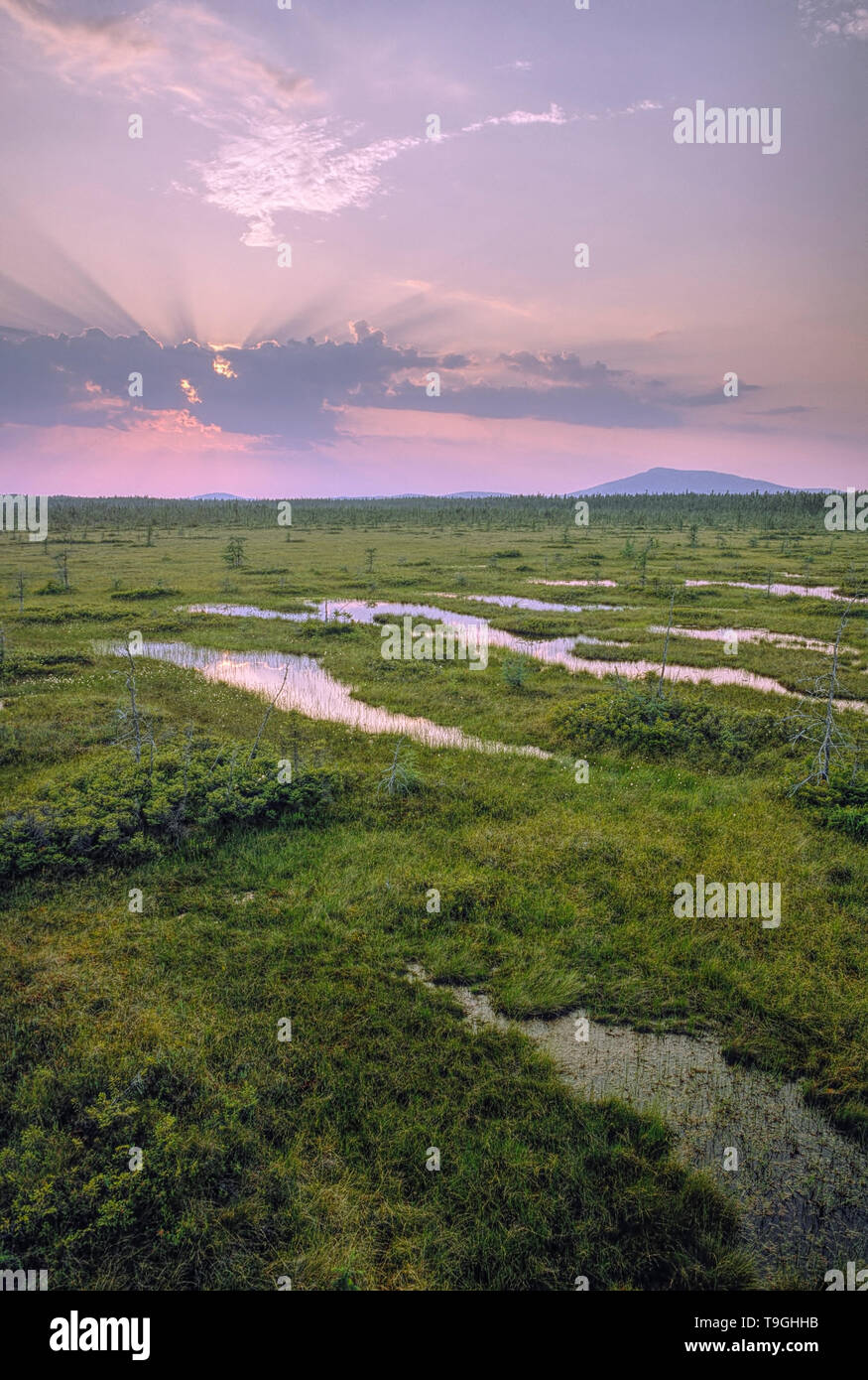 Strukturierte Moor, Nationalpark Frontenac, Quebec, Kanada Stockfoto