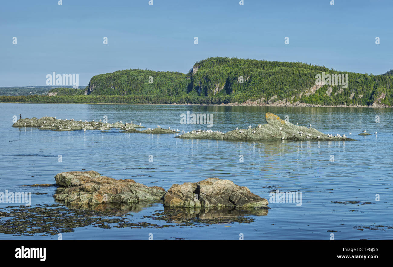 Panoramablick von Bic Nationalparkfreundliche Campingplätze im Rising Tide, Quebec, Kanada Stockfoto