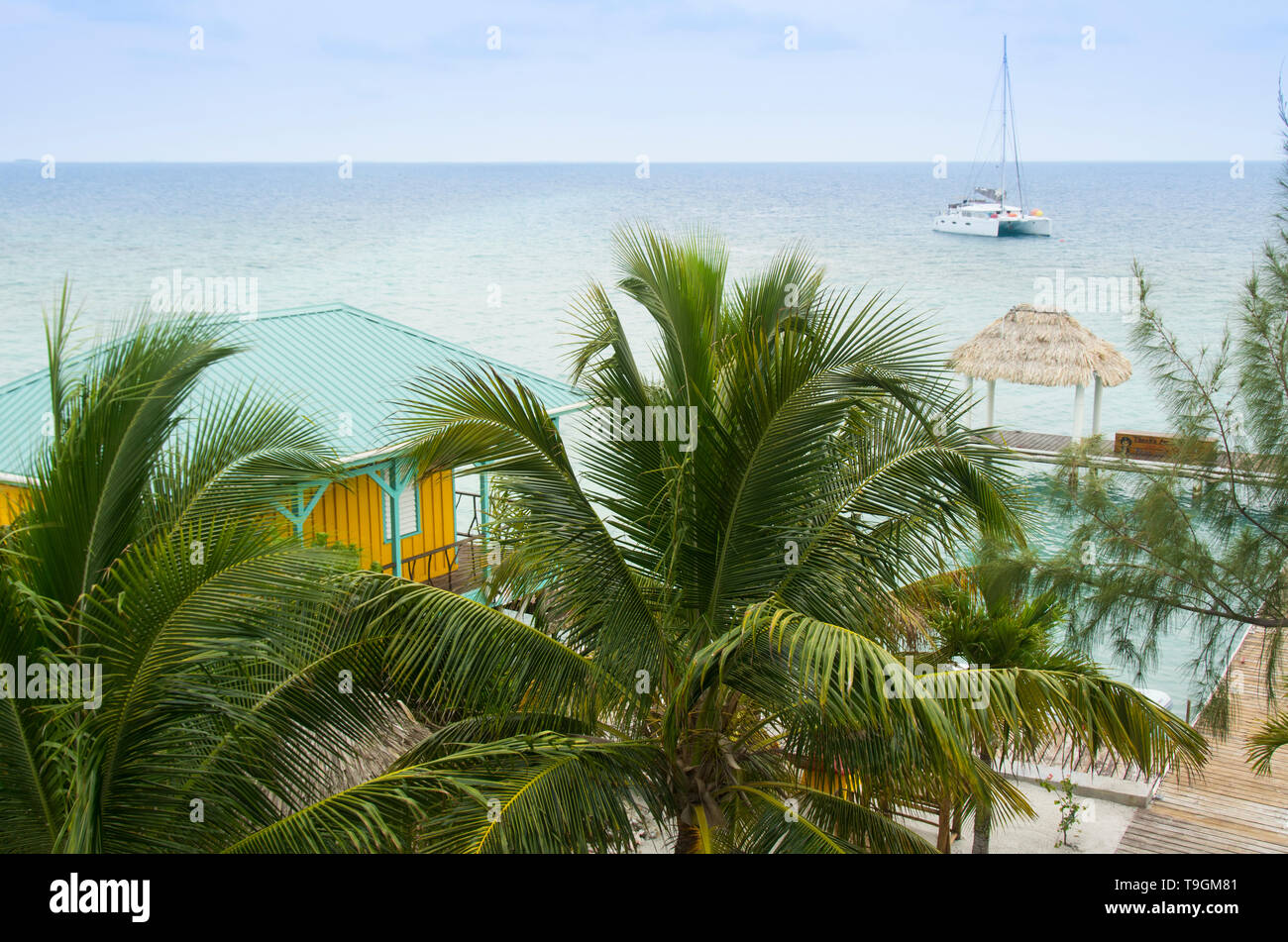Colrful Kabinen und Palm treesat der idyllischen König Lewey's Island Resort, Belize Stockfoto
