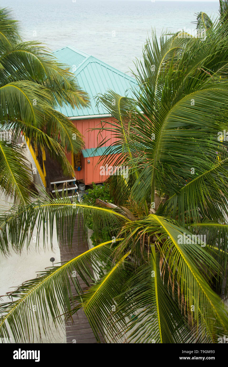 Bunte Kabinen und Palmen am idyllischen König Lewey's Island Resort, Belize Stockfoto