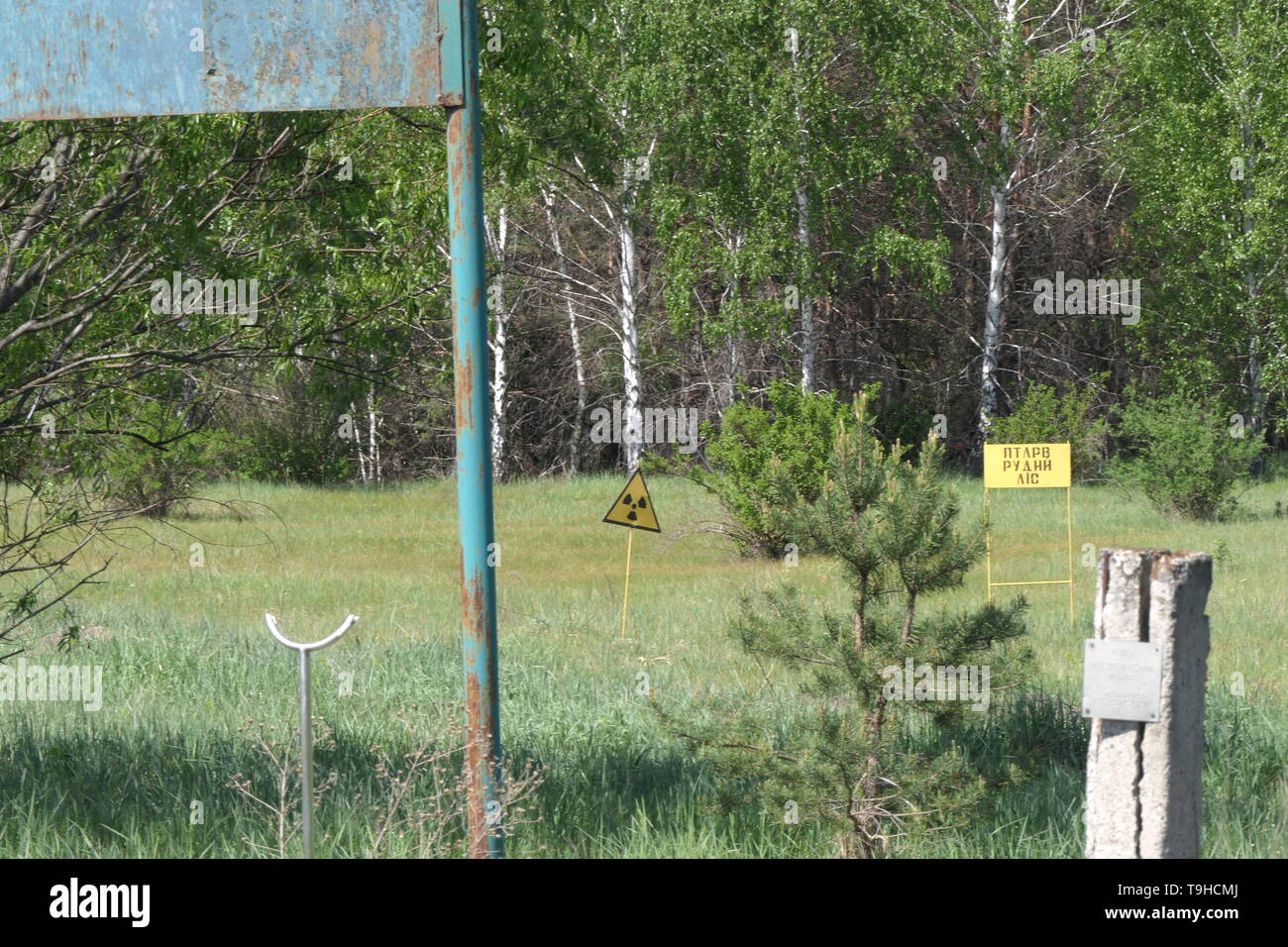 Bestrahlte Ödland innerhalb der Barriere Zone von Tschernobyl, Ukraine Stockfoto
