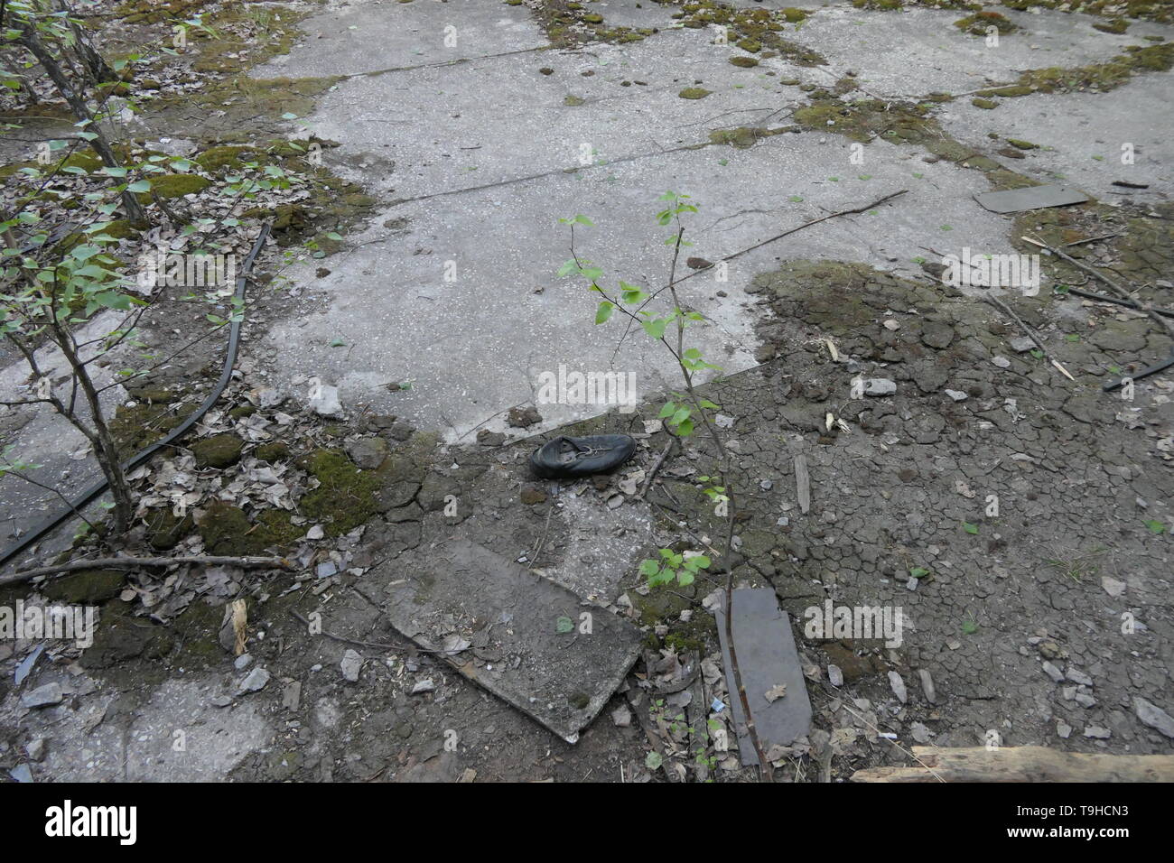 Eine verschmutzte Schuh auf den Boden in die Geisterstadt Pripyat, Sperrzone von Tschernobyl, Ukraine Stockfoto