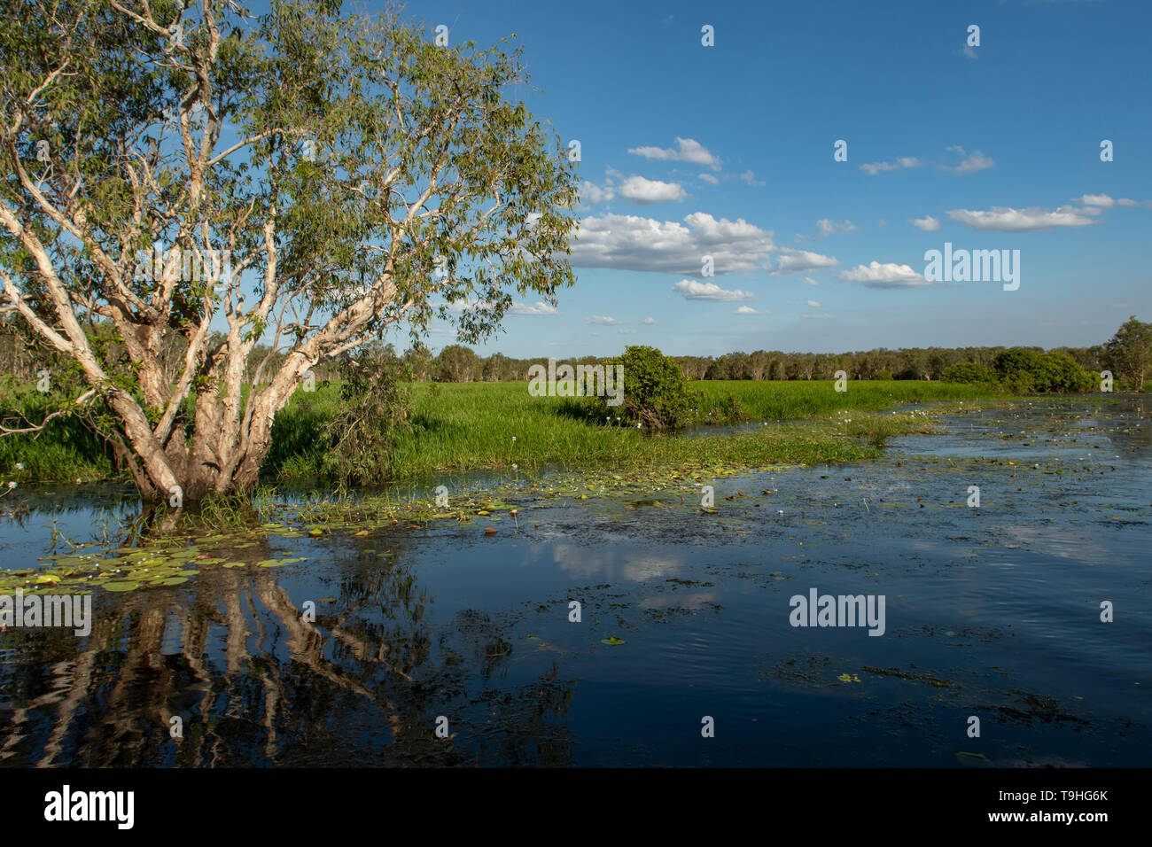 Yellow Waters, Kakadu NP, NT Stockfoto