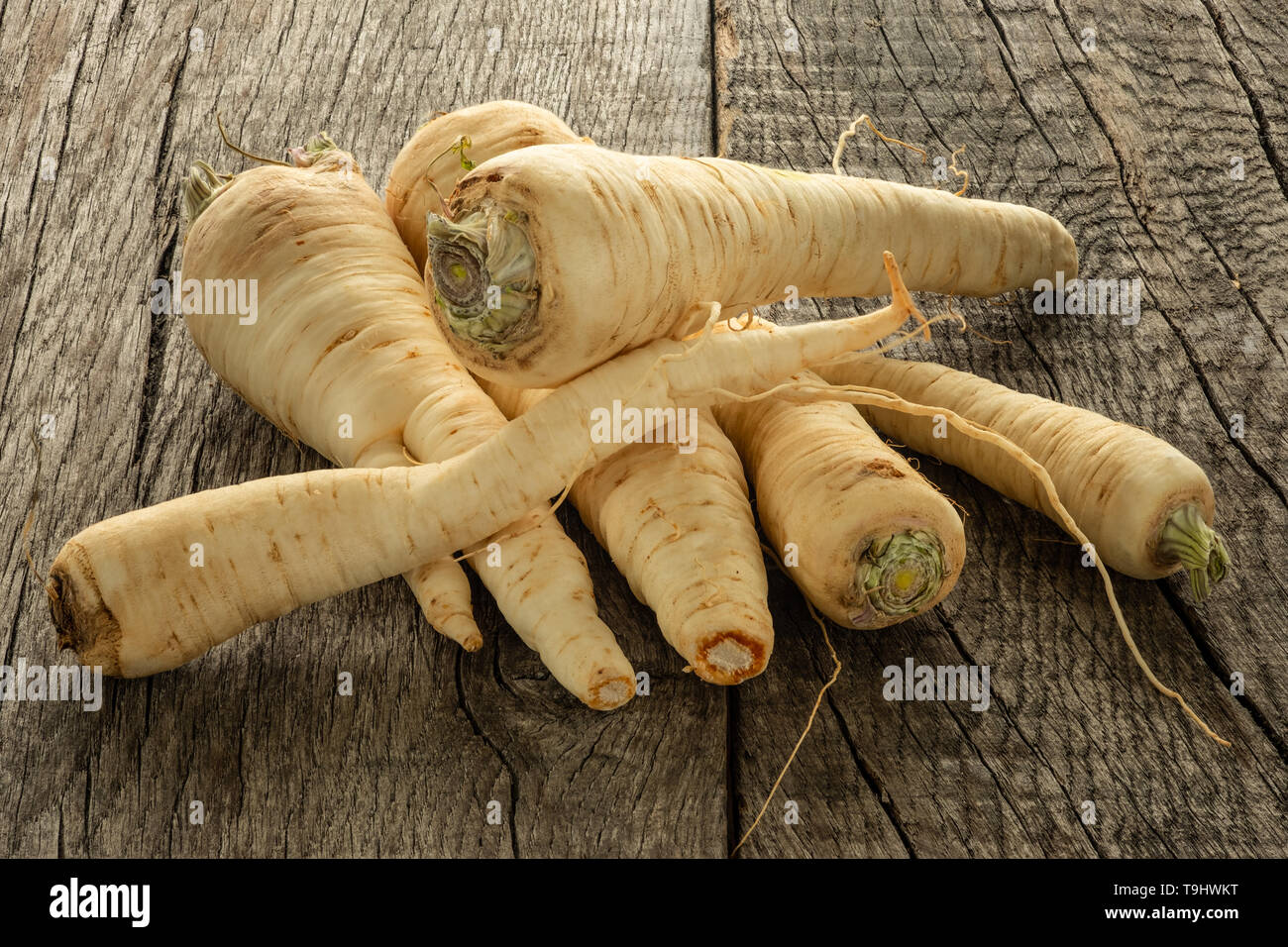 Petersilie Wurzeln roh auf Holz in der Hintergrundbeleuchtung Stockfoto