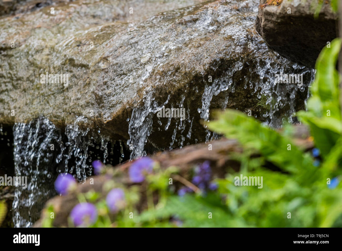 London, Großbritannien. 19. Mai 2019. Die RHS, zurück zur Natur, Garten, von SEINER KÖNIGLICHEN HOHEIT die Herzogin von Cambridge mit Andree Davies und Adam Weiß - Drücken Sie die Taste Vorschau Tag an der RHS Chelsea Flower Show konzipiert. Credit: Guy Bell/Alamy leben Nachrichten Stockfoto