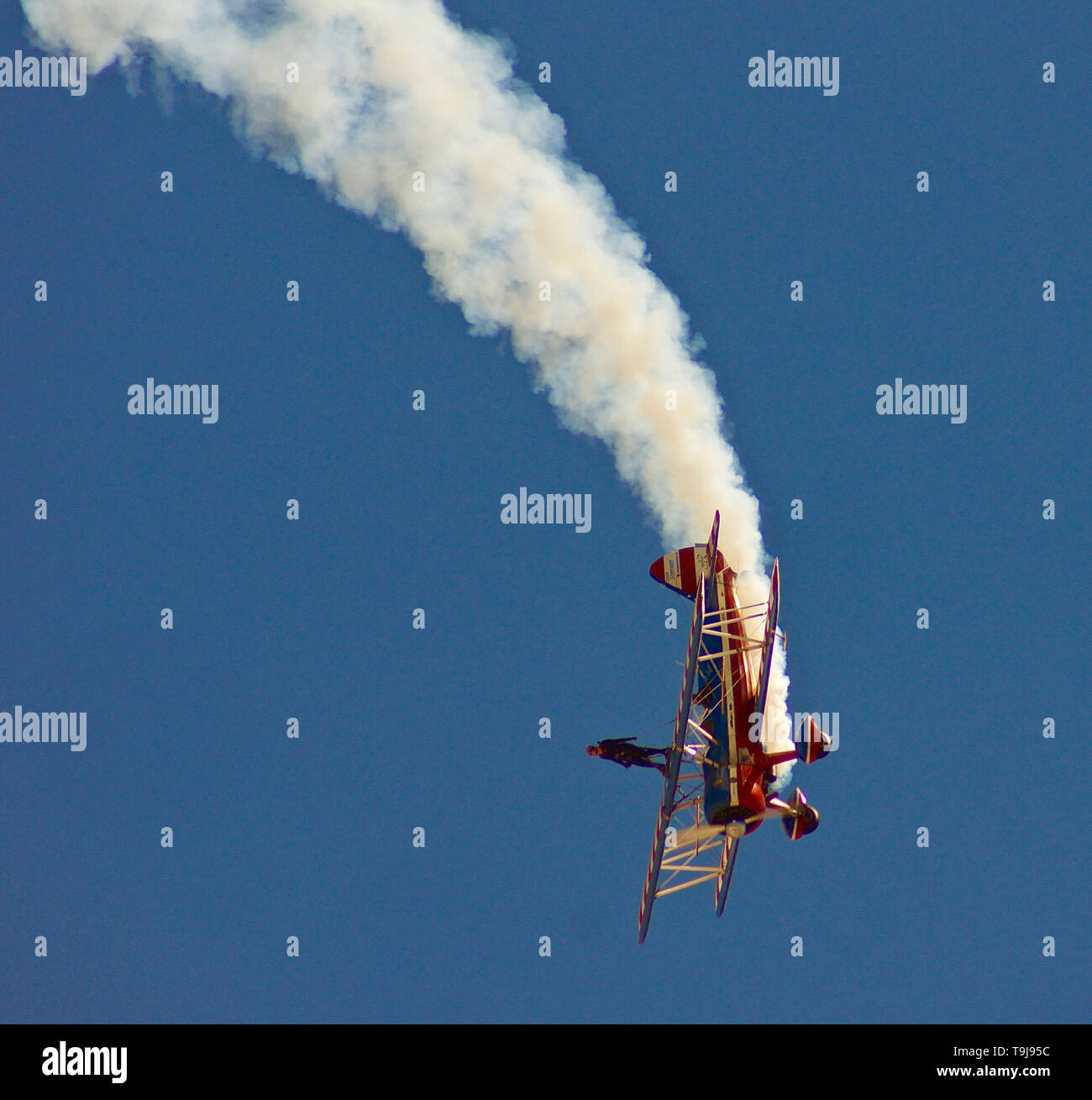 (190519) - Albuquerque (USA), 19. Mai 2019 (Xinhua) - Wing walker Ashley Shelton lünetten selbst als ihr Ehemann Greg Shelton Spiralen ihre 1943 Boeing Stearman in einen Tauchgang während der kirtland Air und Space Fiesta in Albuquerque, New Mexico, USA, am 18. Mai 2019. Die Veranstaltung lockte rund 50.000 Besucher. (Xinhua / Richard Lakin) Stockfoto