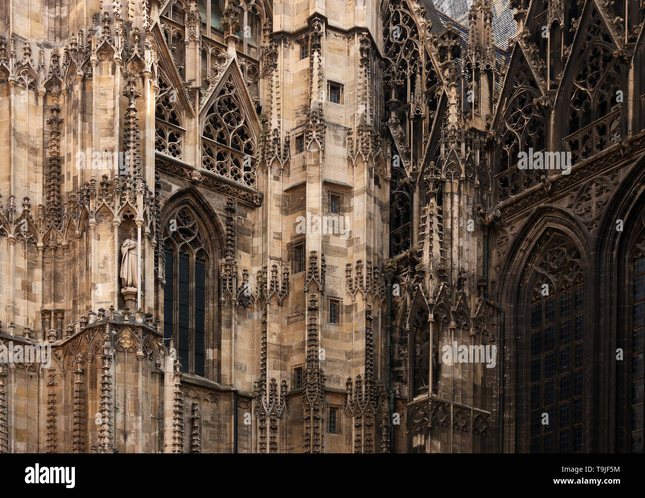 St. Stephens Cathedral wall detail Wien Österreich Stockfoto