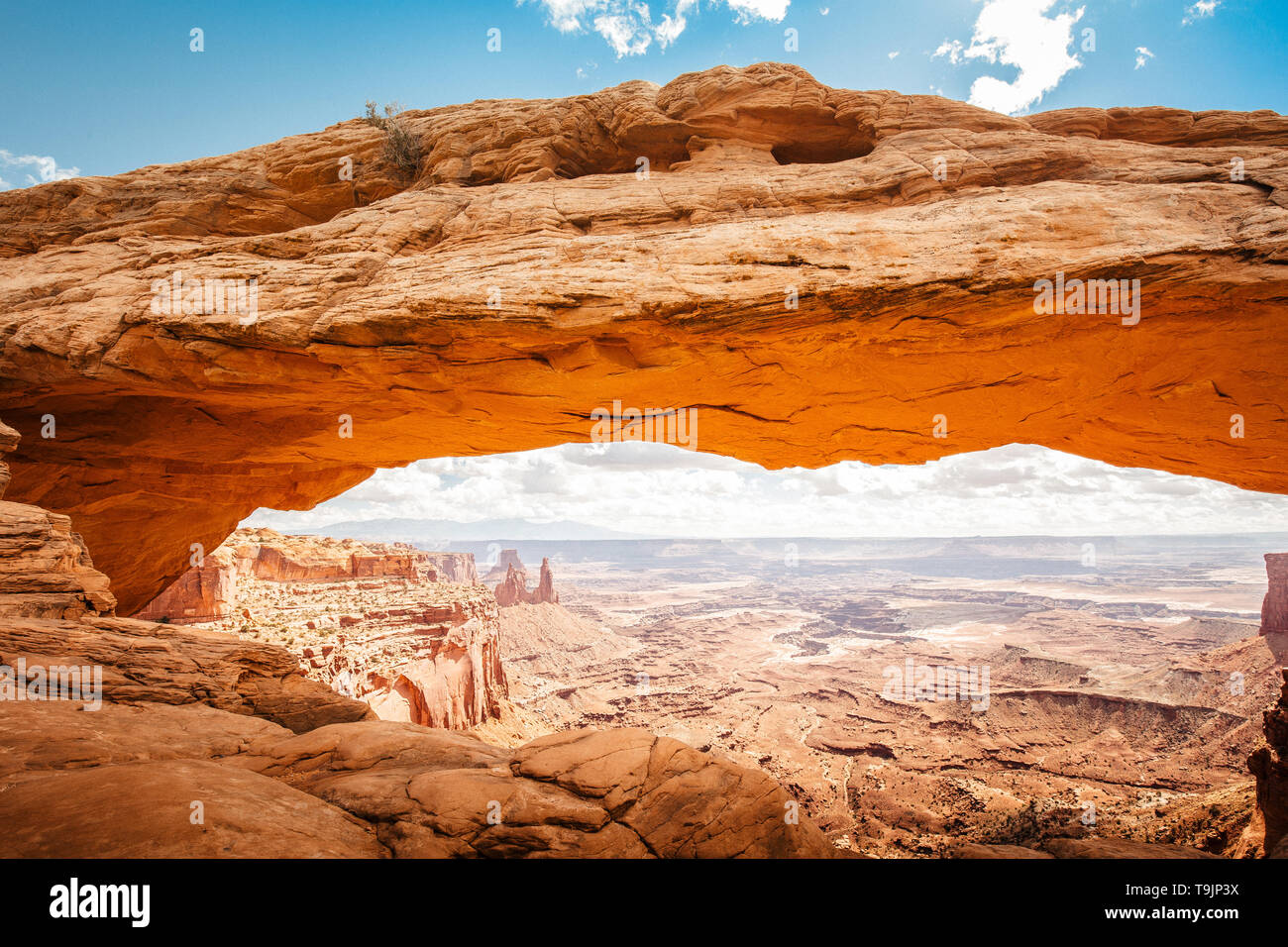 Klassische Ansicht der berühmten Mesa Arch, Symbol für den amerikanischen Westen, im malerischen golden Morgen bei Sonnenaufgang beleuchteten an einem schönen Tag im Sommer Stockfoto
