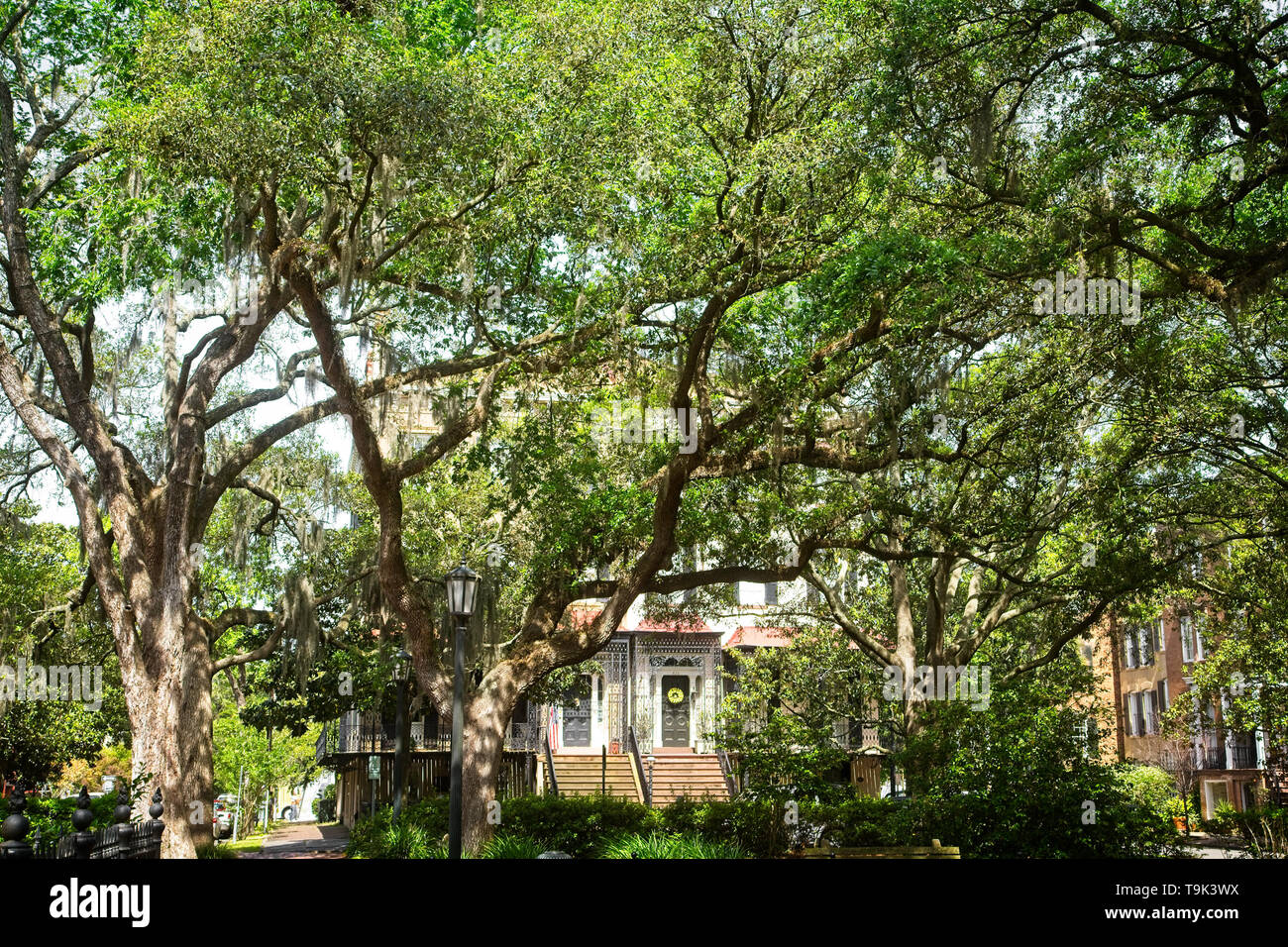Stadthaus durch Eichen Stockfoto