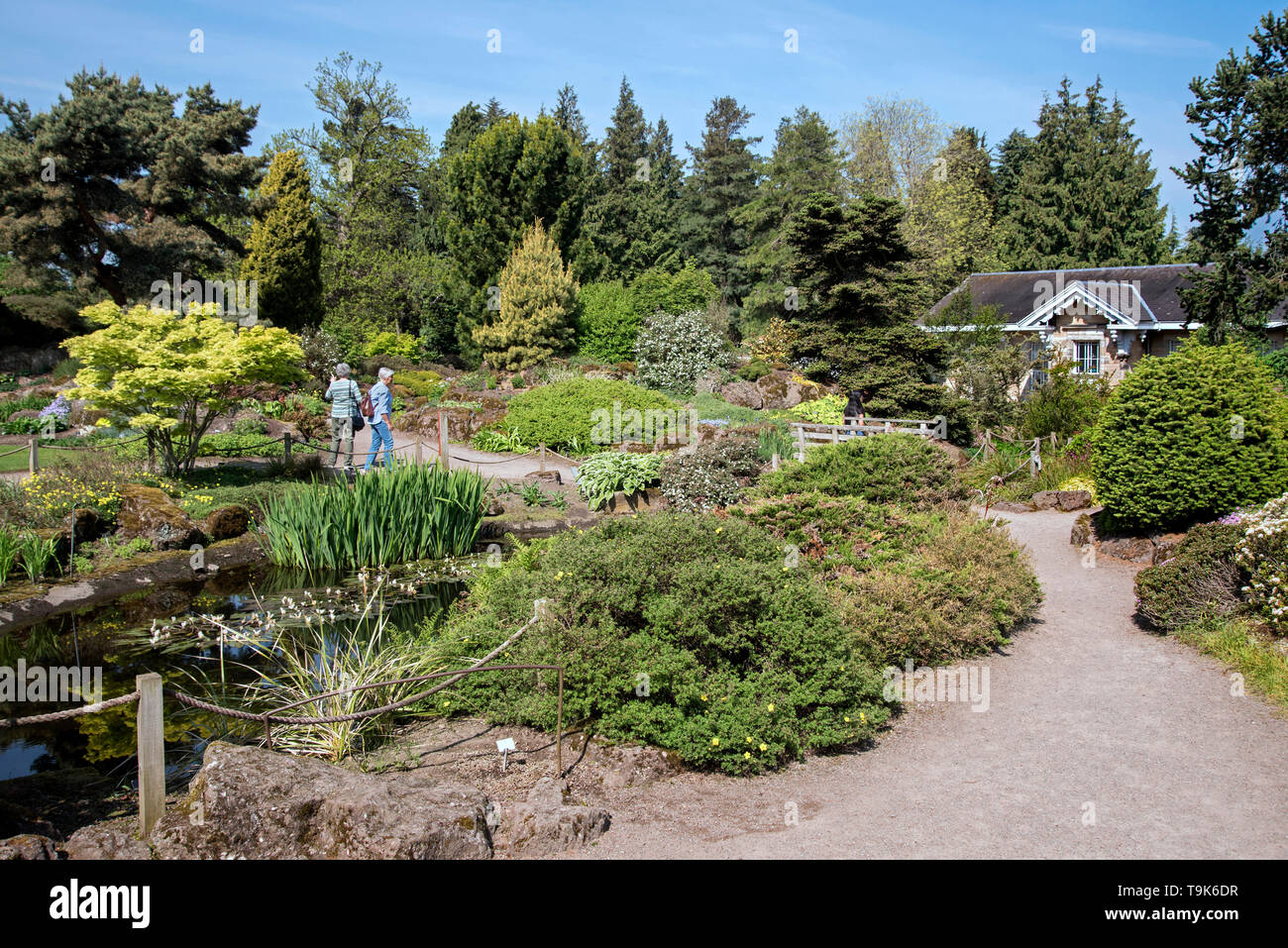 Rock Garden und Caledonia Halle in den Royal Botanic Garden Edinburgh (RBGE), Schottland, Großbritannien. Stockfoto