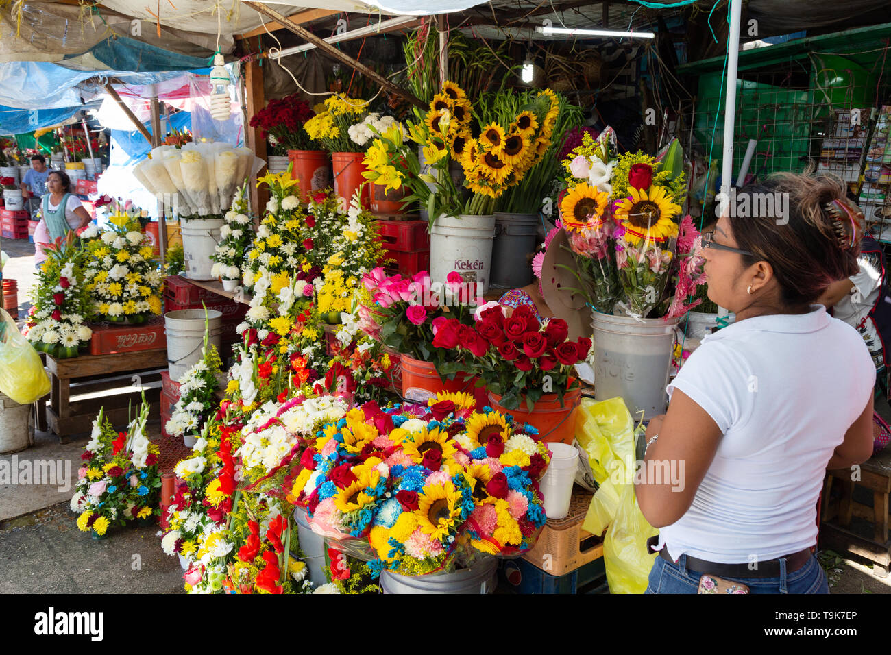 Merida Mexiko - Flower Market Stall und Anbieter, Merida Yucatan Mexiko Lateinamerika Stockfoto