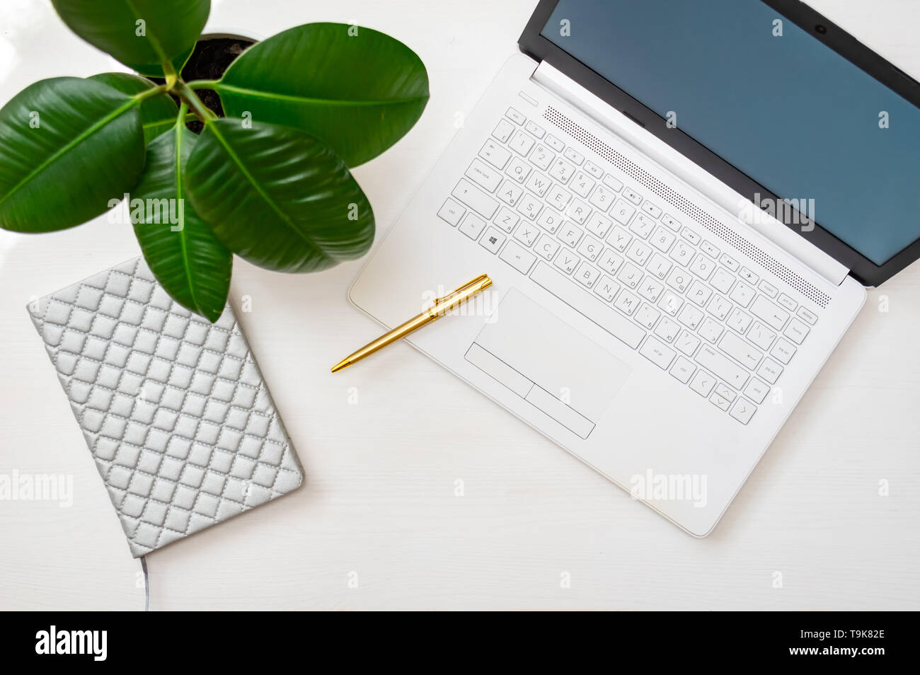 Schreibtisch mit einem weißen Laptops, Notebooks, Pen, Ficus in einem Topf. Home office Konzept. Ansicht von oben Stockfoto