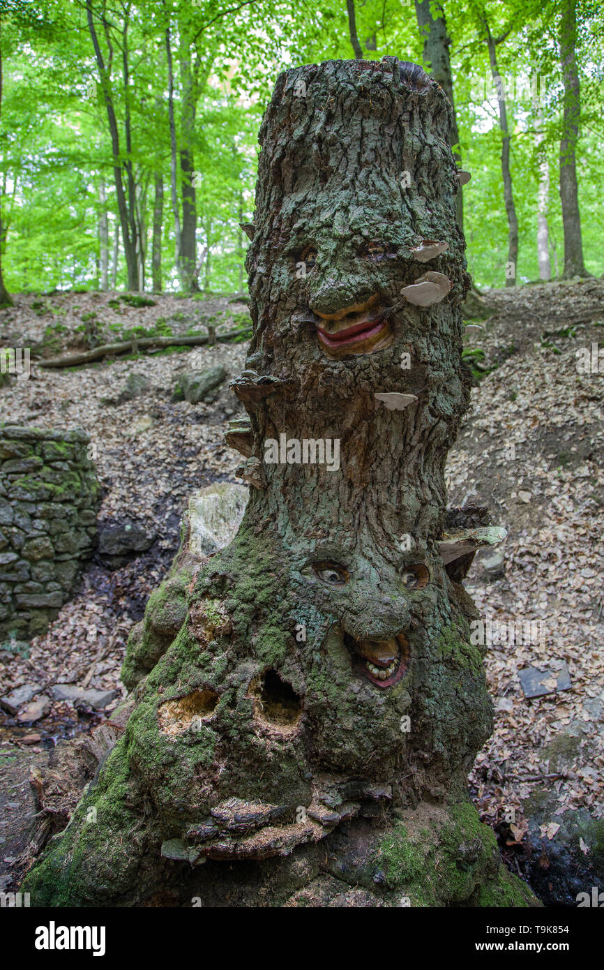 Geschnitzte Gesichter in einem Baumstumpf, Steckeschlääfer-Klamm, Binger Wald, Bingen am Rhein, Rheinland-Pfalz, Deutschland Stockfoto