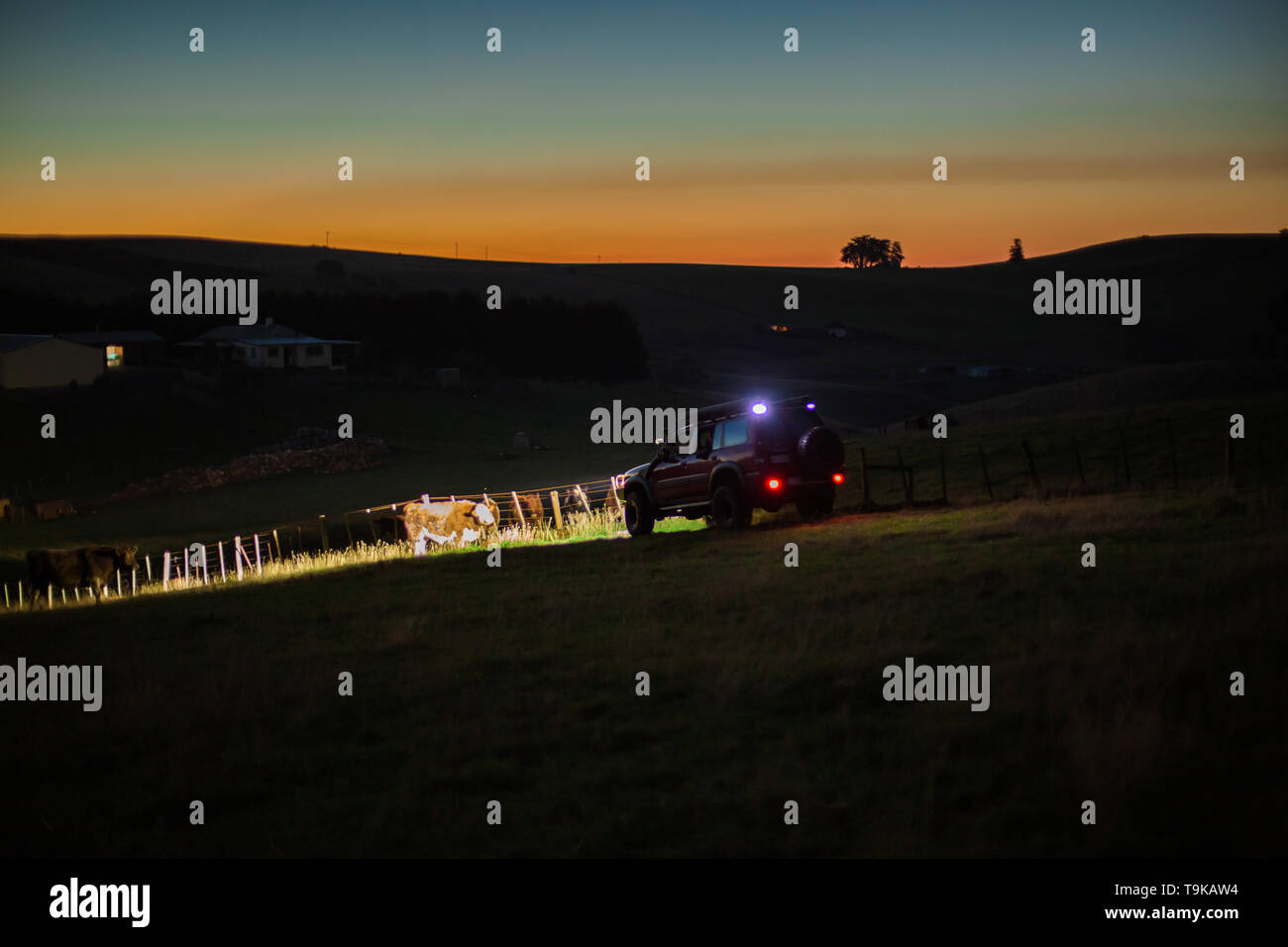 Tasmanisches Bauernleben bei Nacht Stockfoto