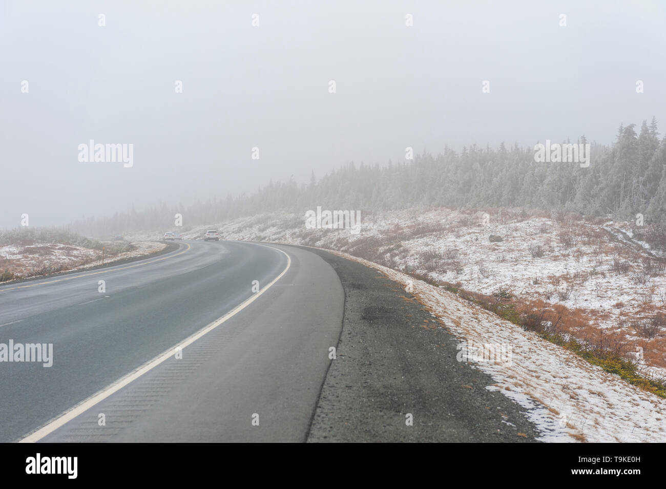 Auto verschwindet in dichten Nebel Stockfoto