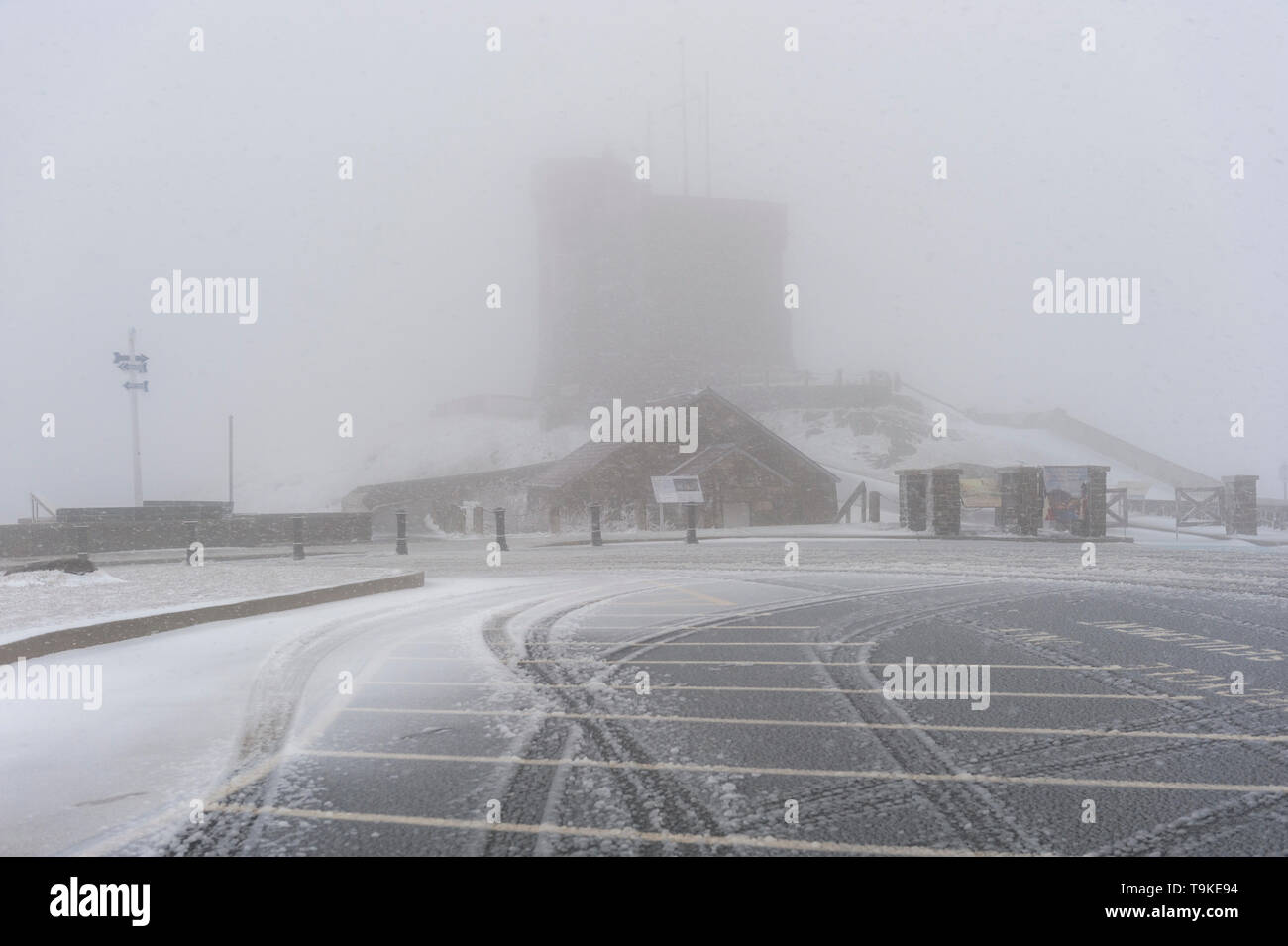 Nasser Schnee Sturm auf dem Signal Hill, St. John's Neufundland und Labrador Stockfoto