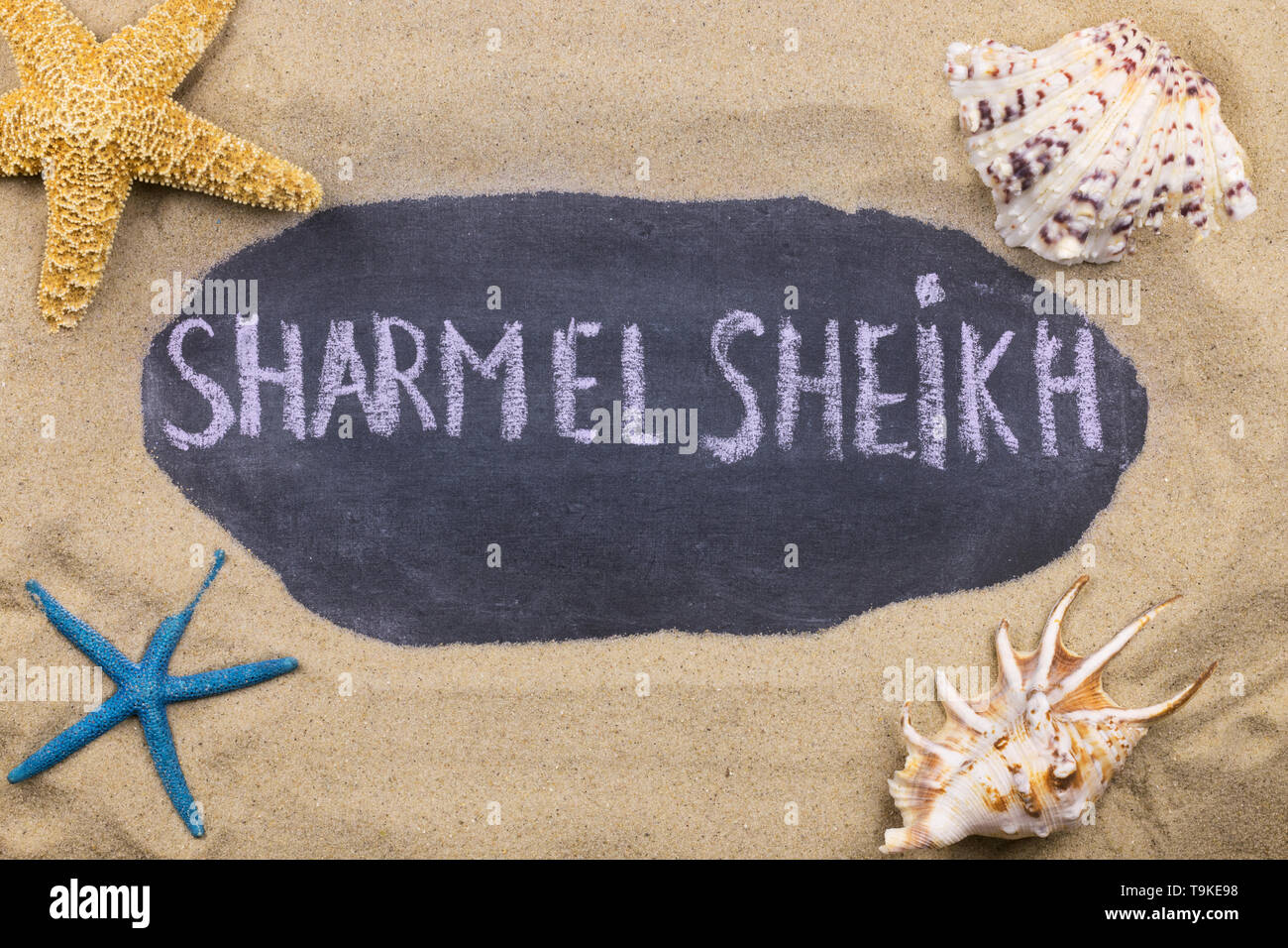 Handschriftliche Wort SHARM EL SHEIKH mit Kreide geschrieben, unter Muscheln und Seesterne. Ansicht von oben Stockfoto