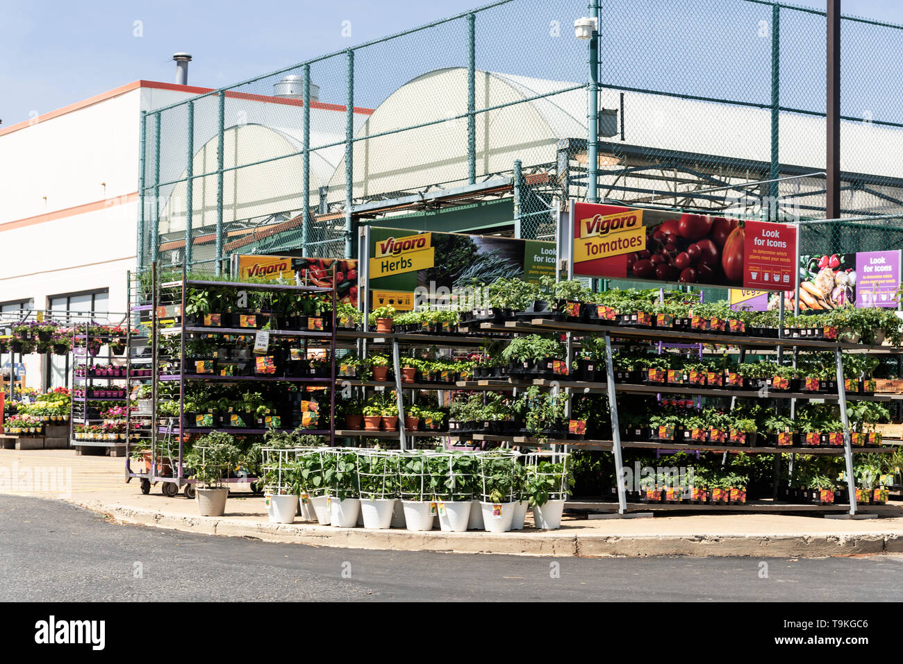 Regale mit Blumen für den Verkauf, The Home Depot, Philadelphia, USA Stockfoto