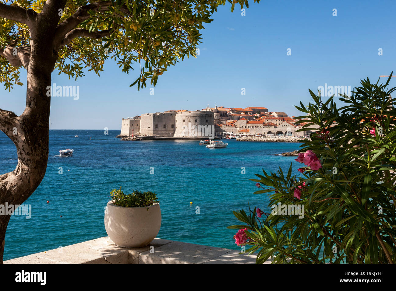 Starigrad (alte Stadt) und dem alten Hafen, von der Terrasse des Hotel Excelsior, Dubrovnik, Kroatien Stockfoto