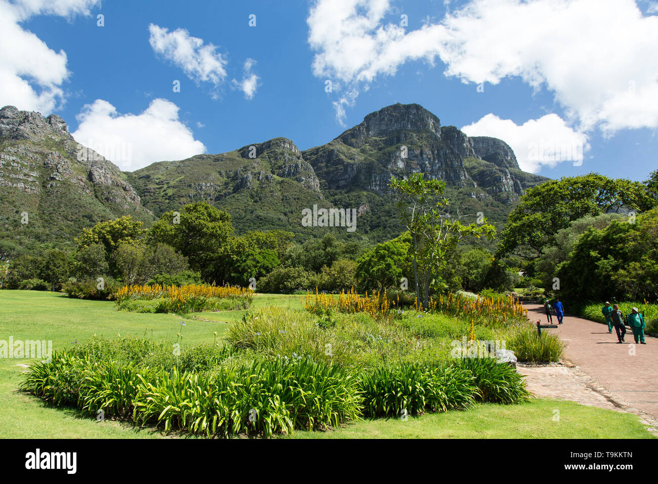 Tabelle Bergblick vom Botanischen Garten Kirstenbosch Stockfoto