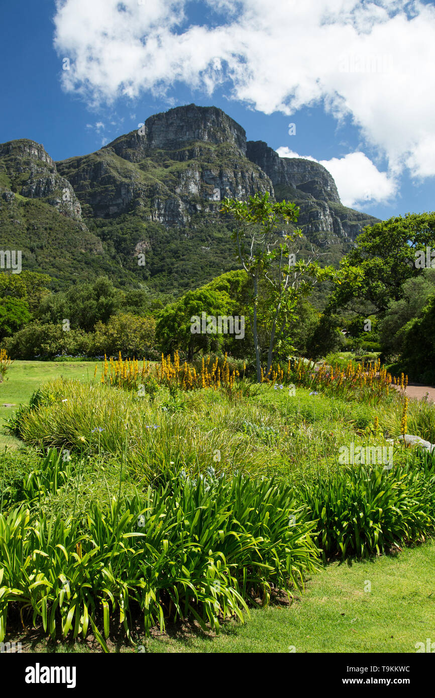 Tabelle Bergblick vom Botanischen Garten Kirstenbosch Stockfoto