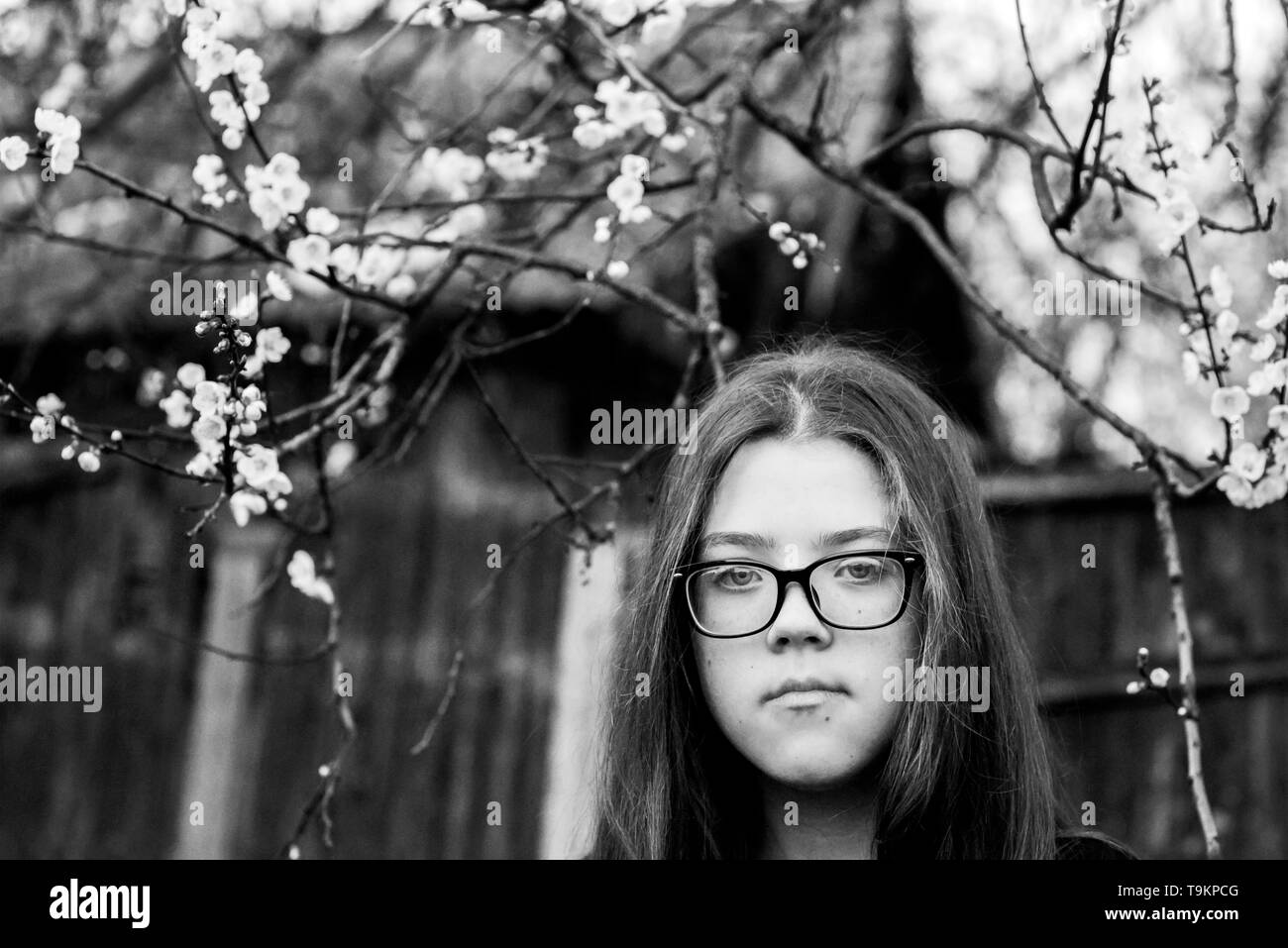 Schwere Mädchen Porträt unter blossom Tree im Freien Stockfoto