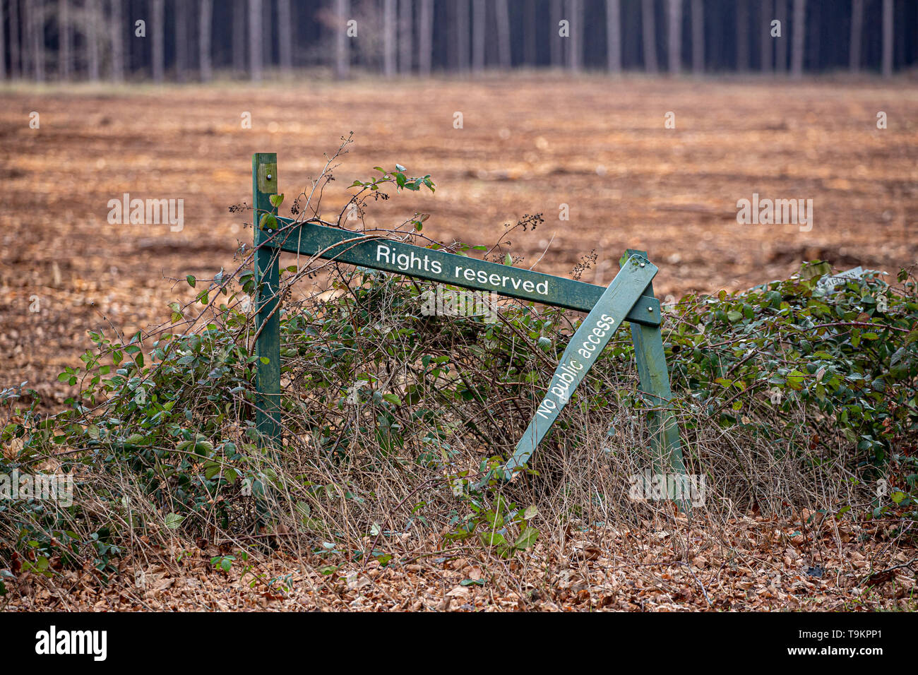 "Rechte vorbehalten." Stockfoto