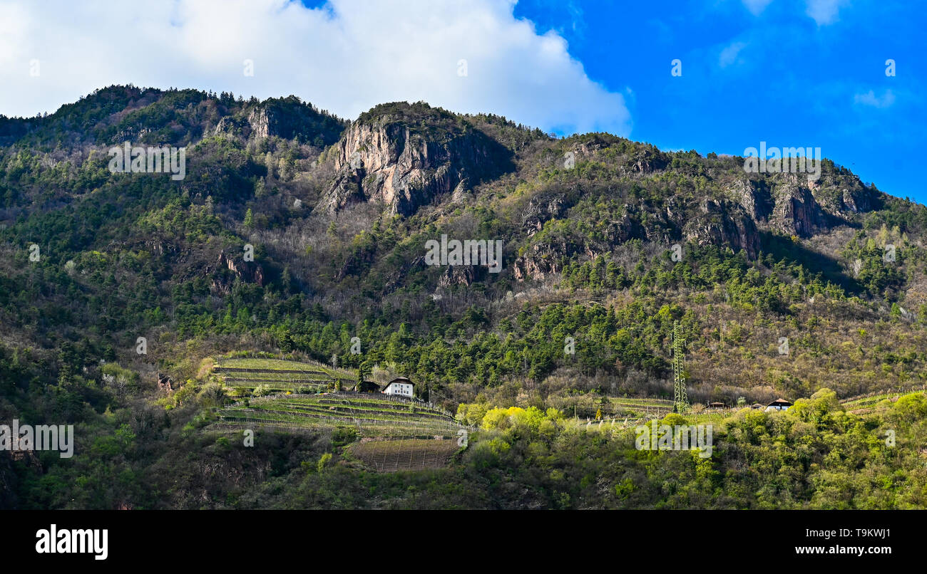 Berge hinter Gries, Bozen, Suedtirol, Italien Stockfoto