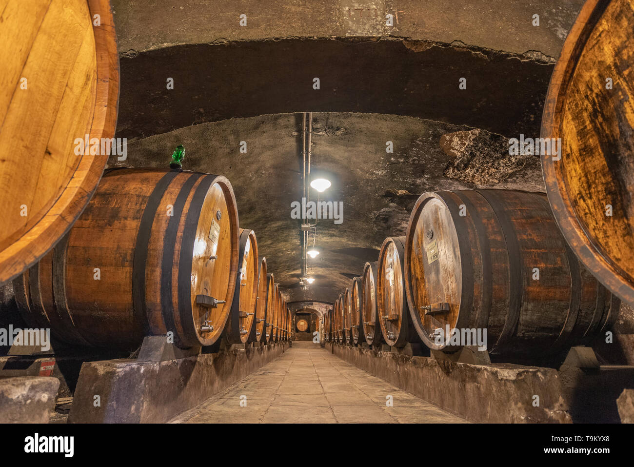 Der Weinkeller von Badia a Coltibuono, Gaiole in Chianti, Toskana, Italien Stockfoto
