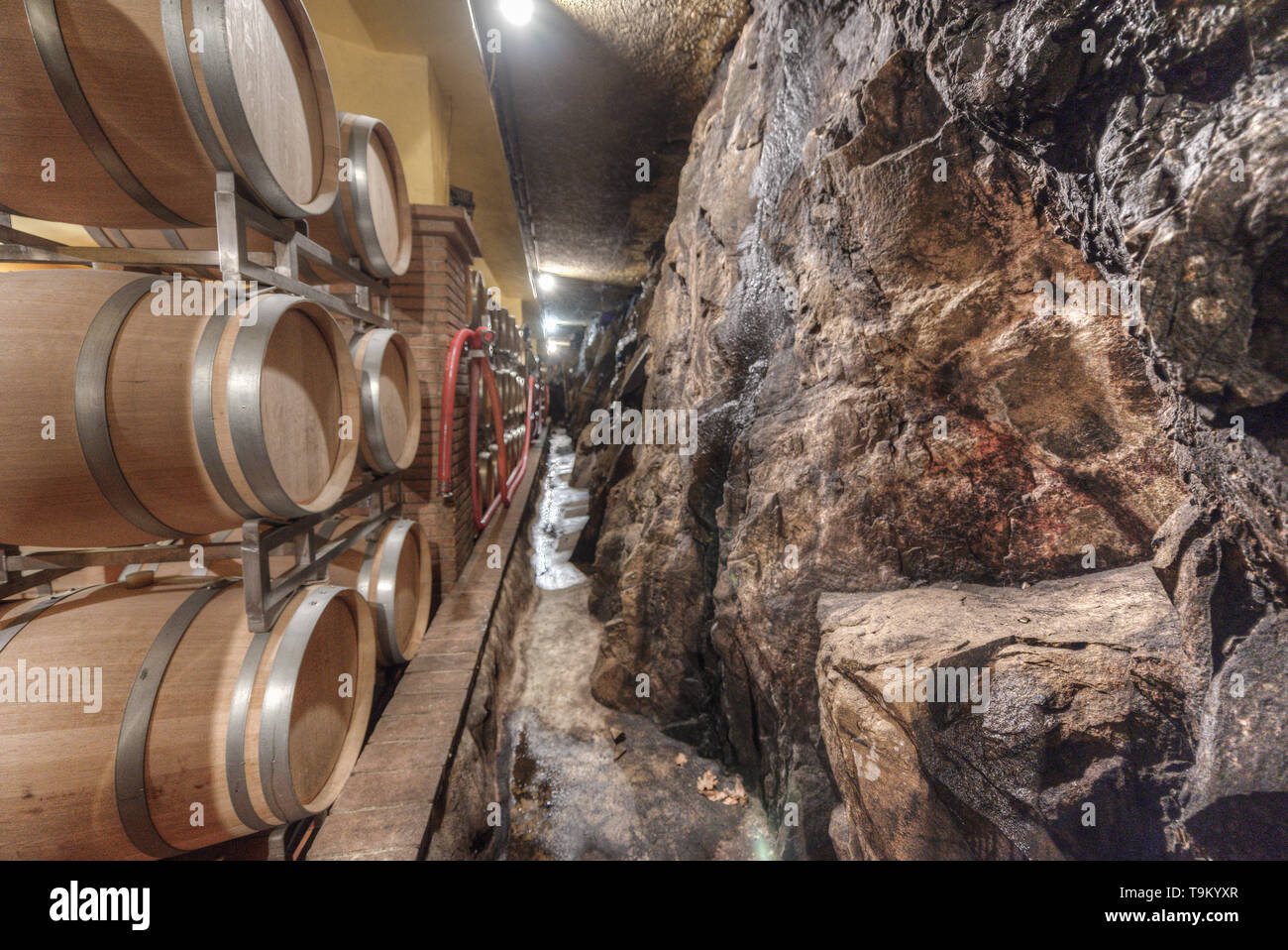 Weingut Capannelle, Gaiole in Chianti, Toskana, Italien Stockfoto