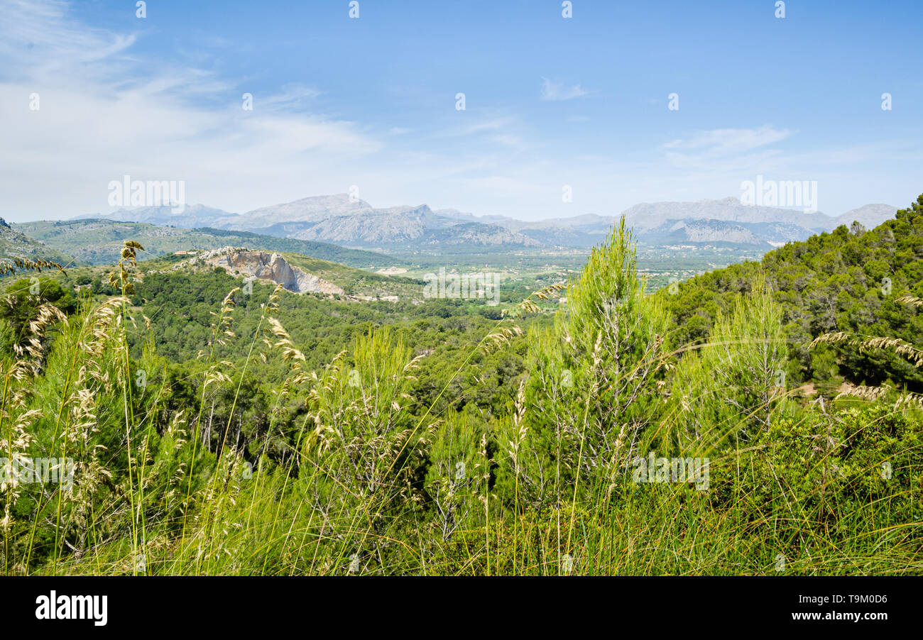 Eine Landschaft Bild der robuste und doch wunderschön, hill Gelände in Mallorca, Spanien. Mallorca ist eine der balearischen Archipels. Stockfoto