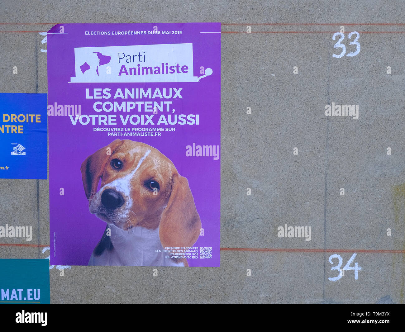 Plakat der "Parti Animaliste" eine französische Partei im nächsten Europäischen Wahlen für die Rechte der Tiere, mit einem Hund. In Gers, Frankreich, Mai 2019 Stockfoto