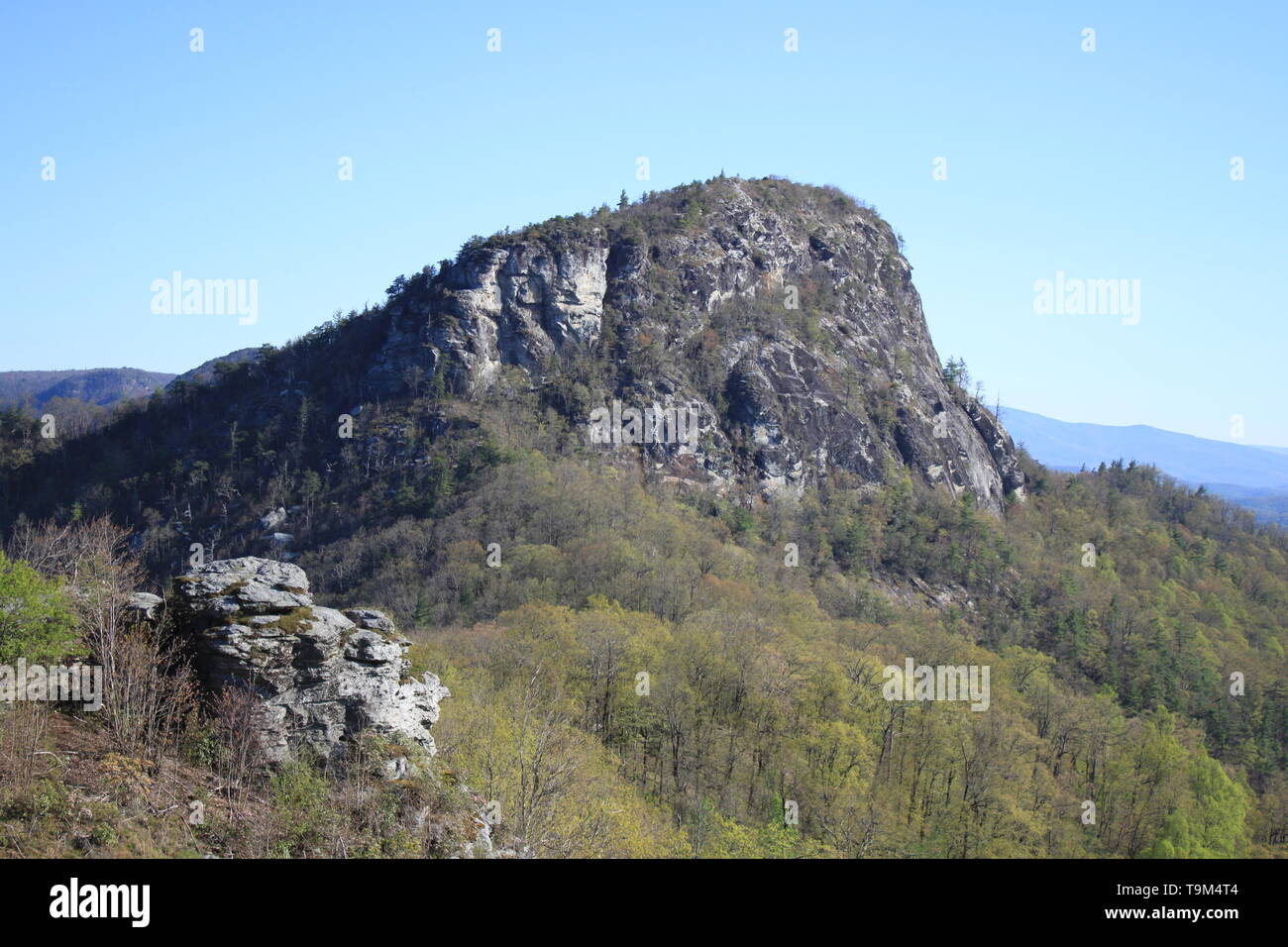 Tabelle Rock, Pisgah National Forest, NC Stockfoto