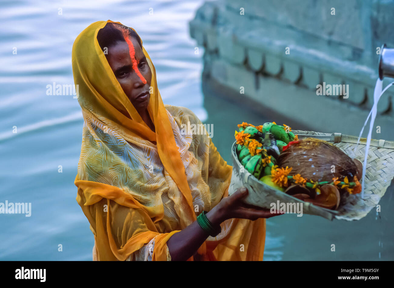 Indische Frau devotee trägt einen gelben Sari stehend in den Gewässern des Ganga Fluss in ihre Hände halten einen Korb mit morgen Angebote für Sun Stockfoto