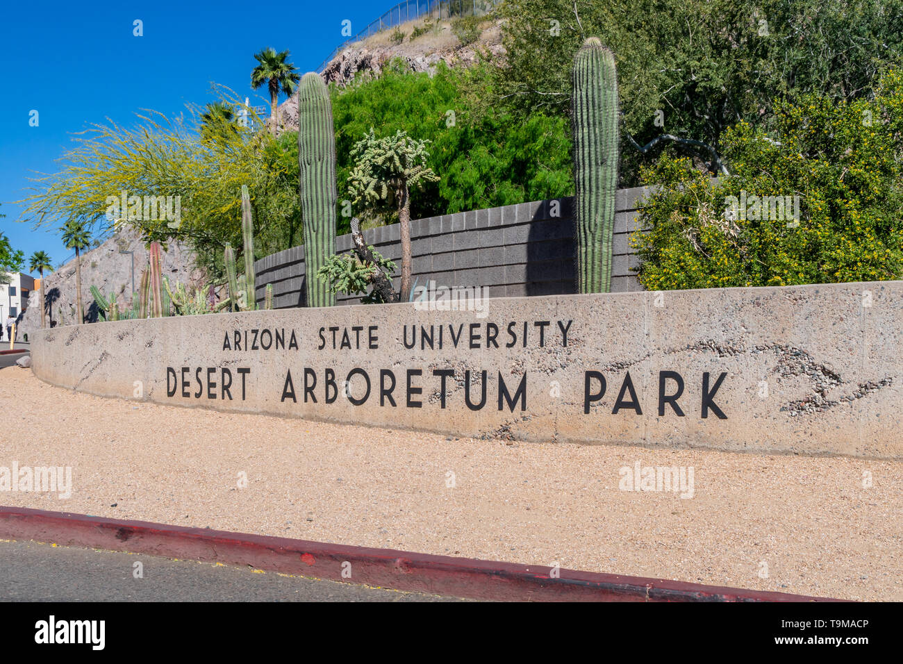 TEMPE, AZ/USA - April 10, 2019: Desert Arboretum Park Auf dem Campus der Arizona State University. Stockfoto