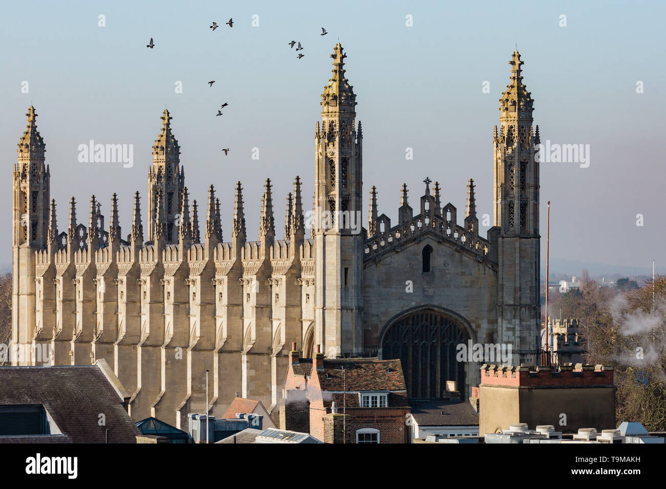 Tauben fliegen über einen Blick auf die King's College Chapel, Cambridge Stockfoto