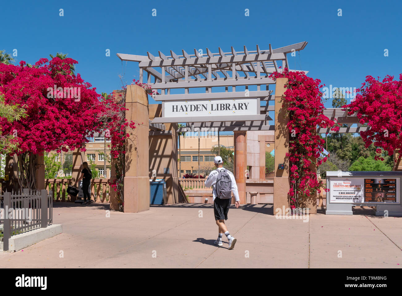 TEMPE, AZ/USA - 10. APRIL 2019: Nicht identifizierte Personen in Hayden Bibliothek auf dem Campus der Arizona State University. Stockfoto
