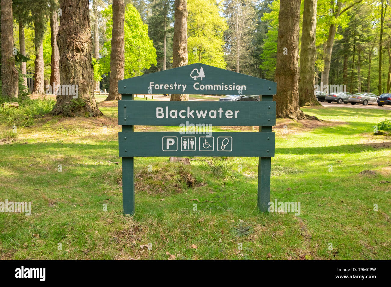 Holz- grüne Wegweiser für Blackwater in den New Forest, Hampshire, England, Großbritannien Stockfoto