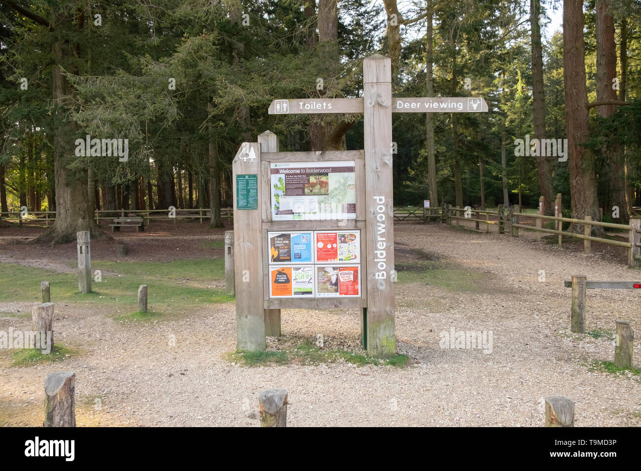 Holz- touristische Informationen Zeichen für Toiletten und Deer anzeigen, bei bolderwood Parkplatz, im New Forest, Hampshire, England, Großbritannien Stockfoto