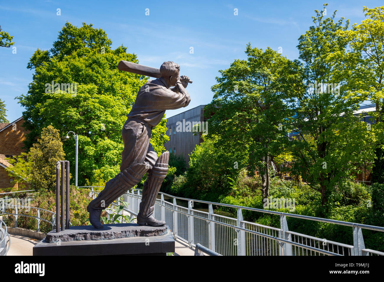 Bronzestatue von Cricket Symbol Eric Bedser auf bedser Brücke, eine Fußgängerbrücke über der Basingstoke Canal verbindet die WWF-UK Hauptquartier in die Innenstadt Stockfoto