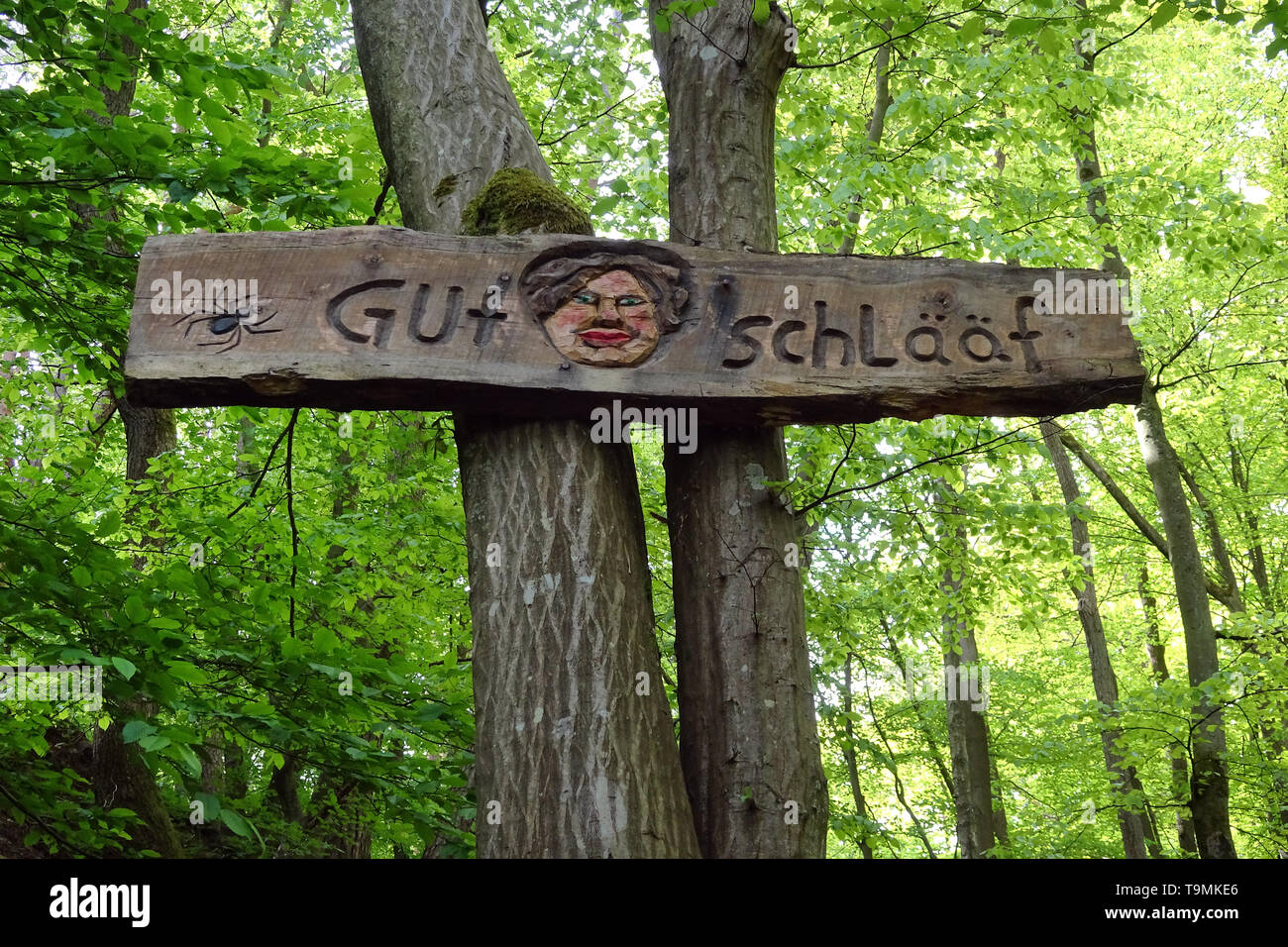 Sagen 'gut Schlääf 'Guten (bedeutet "Shuffle") an den Wanderer trail Steckeschlääfer-Klamm, Binger Wald, Bingen am Rhein, Rheinland-Pfalz, Deutschland Stockfoto