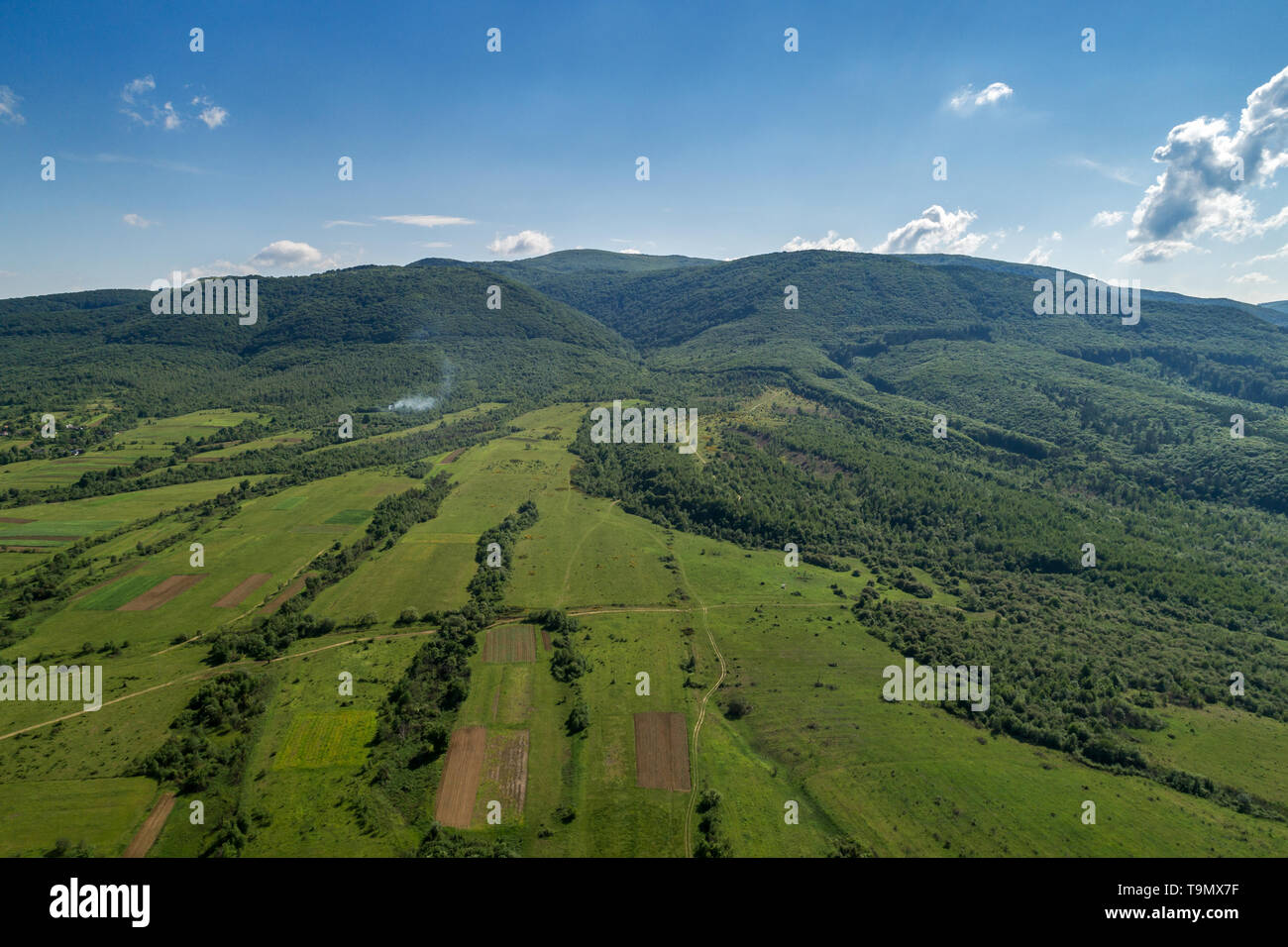 Berge mit grünen Wald und Fluss. Karpaten. Blick von oben. Stockfoto