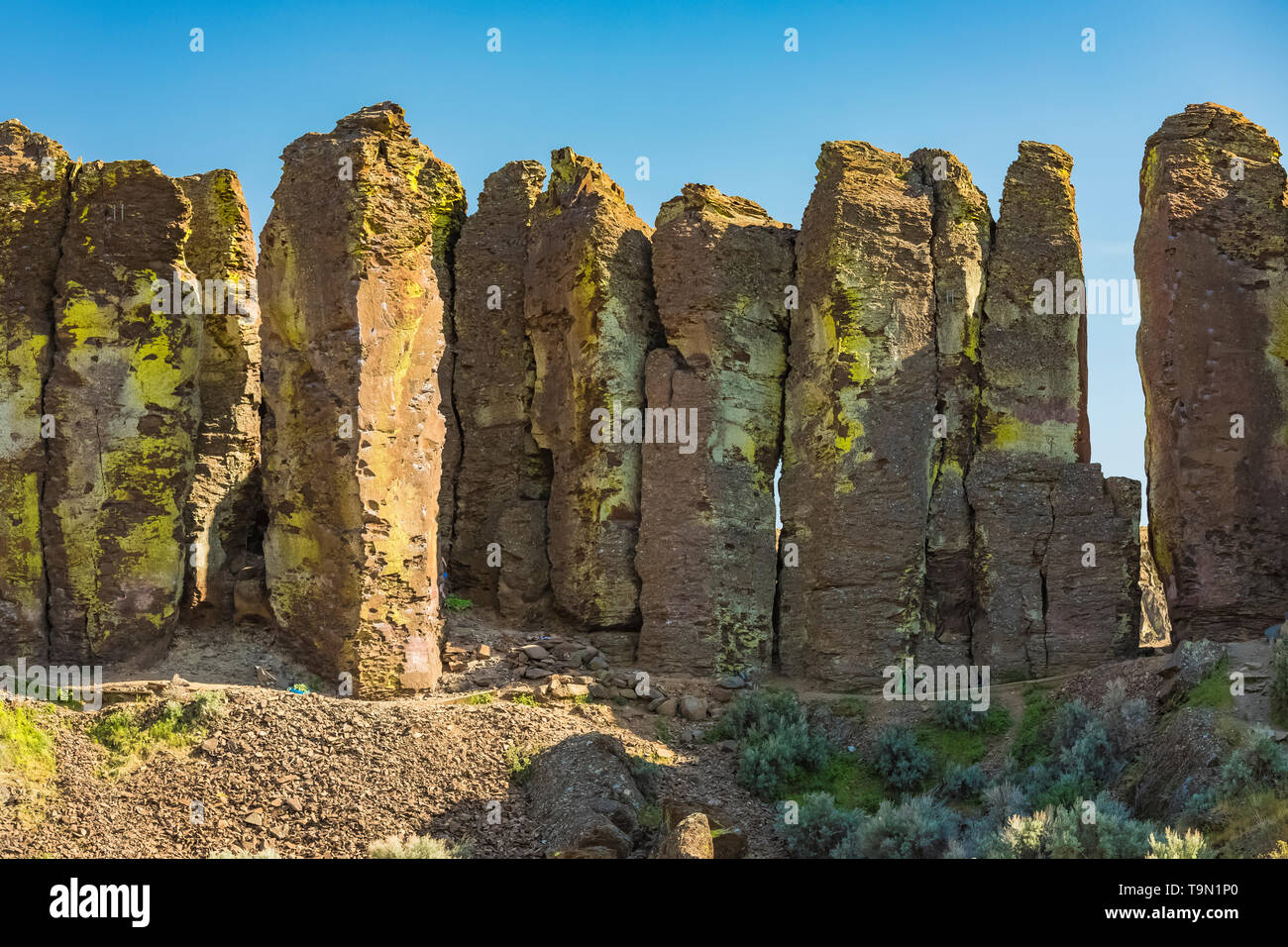 Basaltsäulen in einem berühmten Klettern Bereich der Franzose Coulee, entlang des Columbia River in der Nähe von Vantage, Washington State, USA Stockfoto