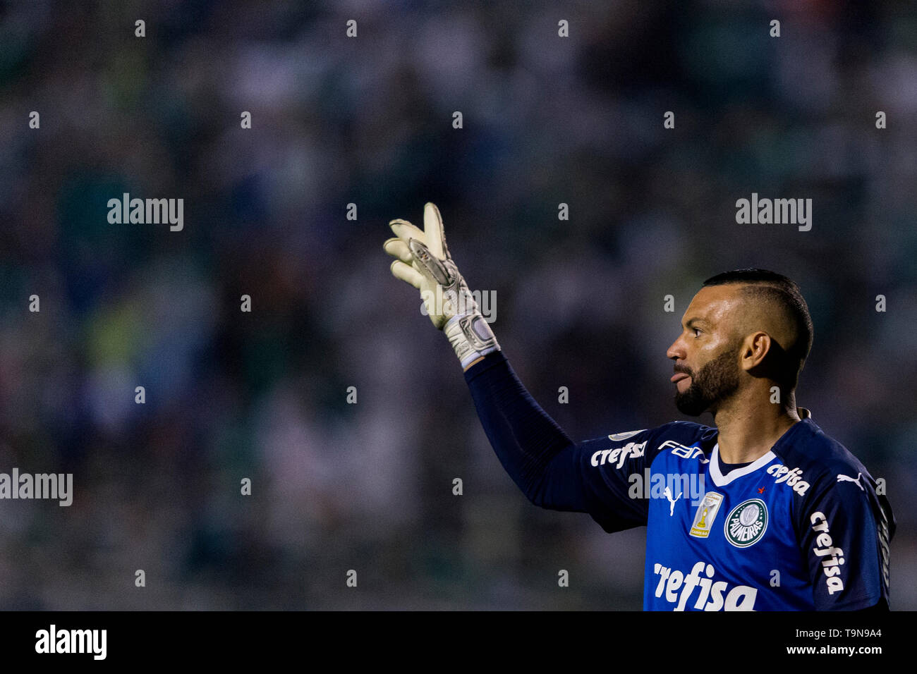 Weverton tun Palmeiras, während des Spiels zwischen Palmeiras und Santos, gültig für die 5. Runde der brasilianischen Meisterschaft 2019 Série A, in der Paca gehalten Stockfoto