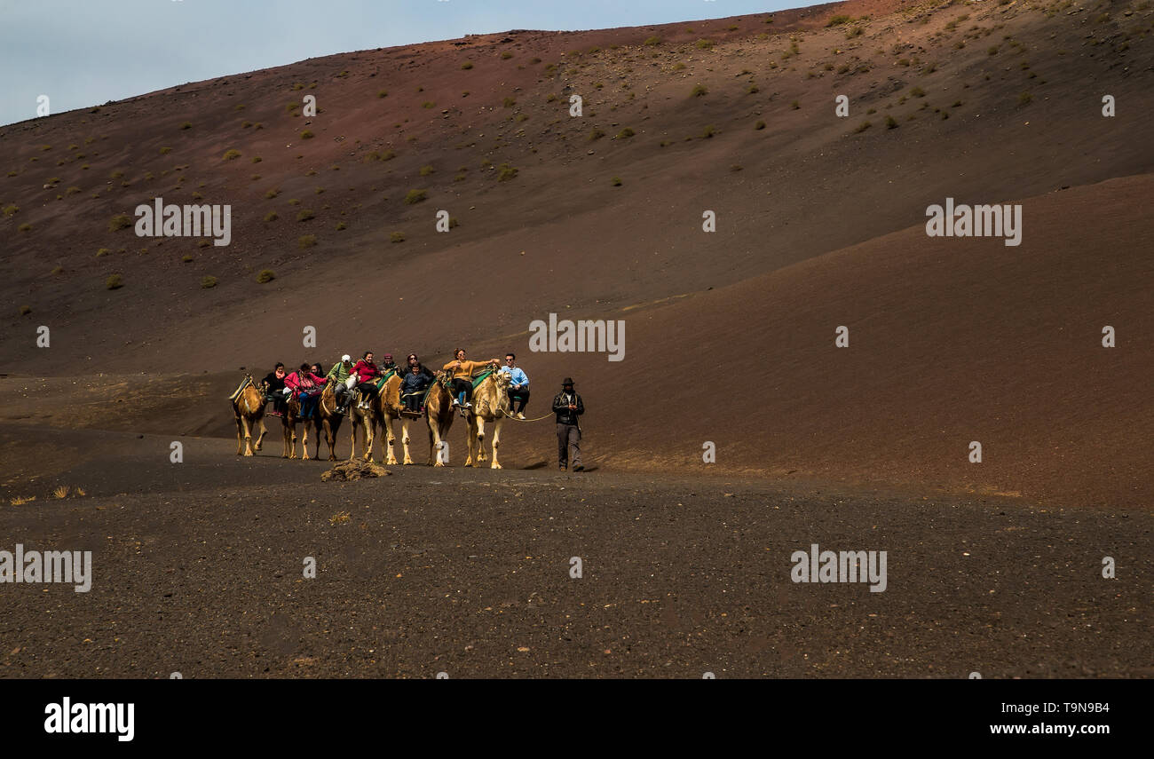 Lanzarote, Spanien, 7. März 2016. Ein Wohnwagen der Kamele von Packungen mit Reiter und Fahrer geht auf eine Wüste am Nachmittag bei gutem Wetter Stockfoto