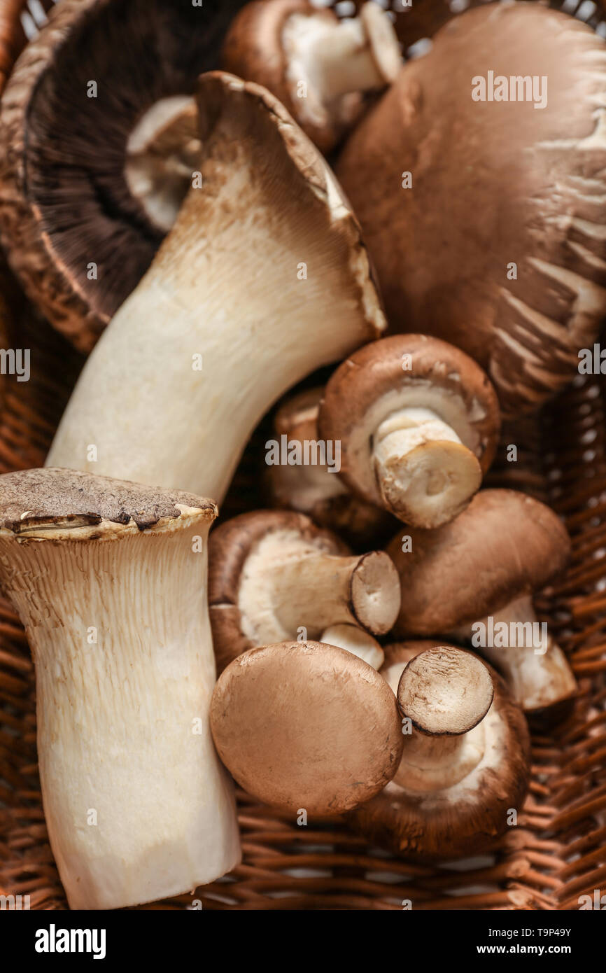 Frische Pilze im Weidenkorb Stockfoto